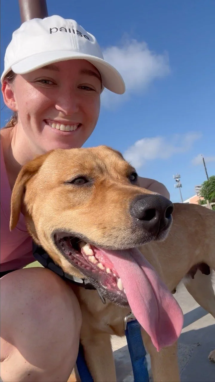 Galveston Island Humane Society