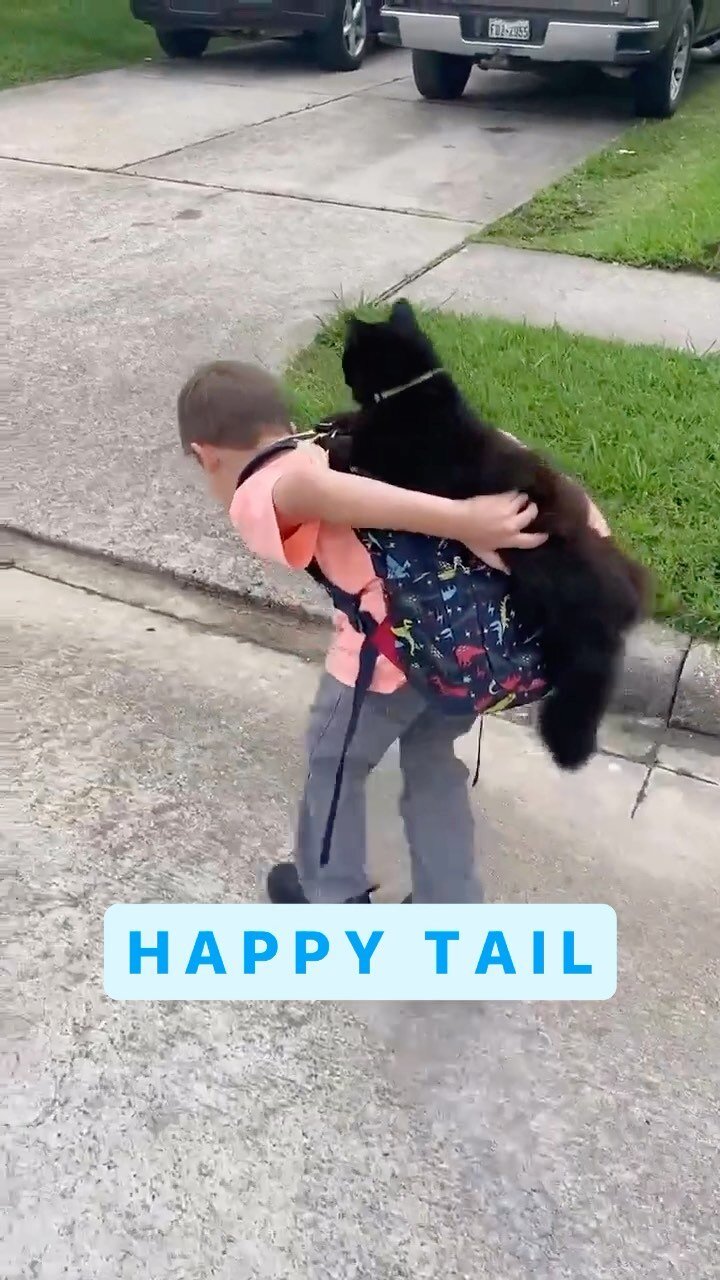 Galveston Island Humane Society