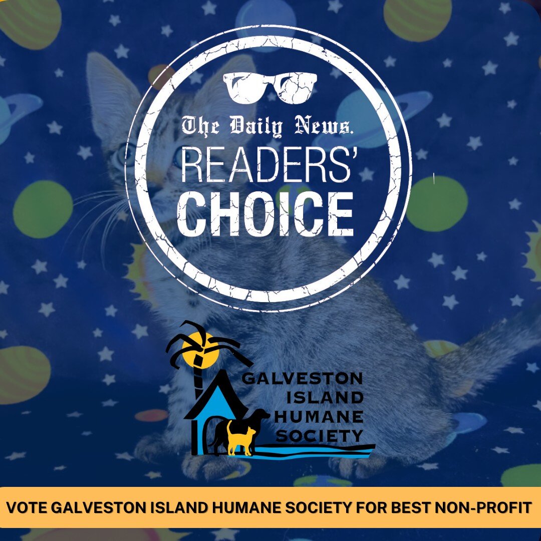 The Daily News Readers' Choice is BACK and we need your help to cast your vote for Galveston Island Humane Society!🏆🥇

 The team at the Galveston Island Humane Society comprises compassionate and skilled individuals who prioritize the animals' welf