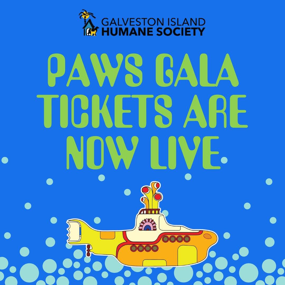 Ticket Sale is NOW OPEN through our website. Head over to GalvestonHumane.org to purchase yours!

Our 21st Annual PAWS Gala, benefitting the Galveston Island Humane Society, will celebrate the sounds of The Beatles at our PAWberry Fields FURever part