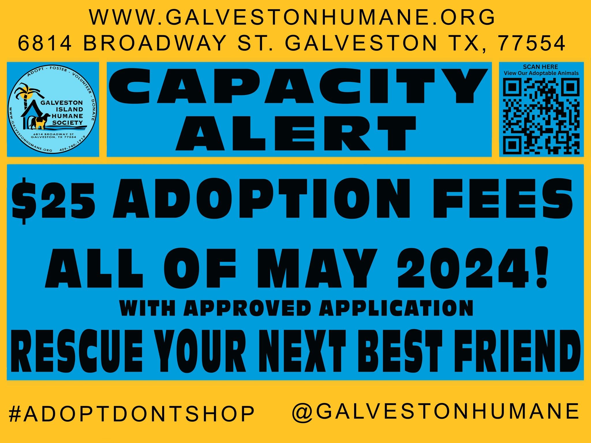 We sure did enjoy those few days last week with an empty front hall. We have had many intakes and we again have animals housed in the front hallway. 
For the remainder of May 2024 all adoption fees have been reduced to $25. 
Please check out our new 