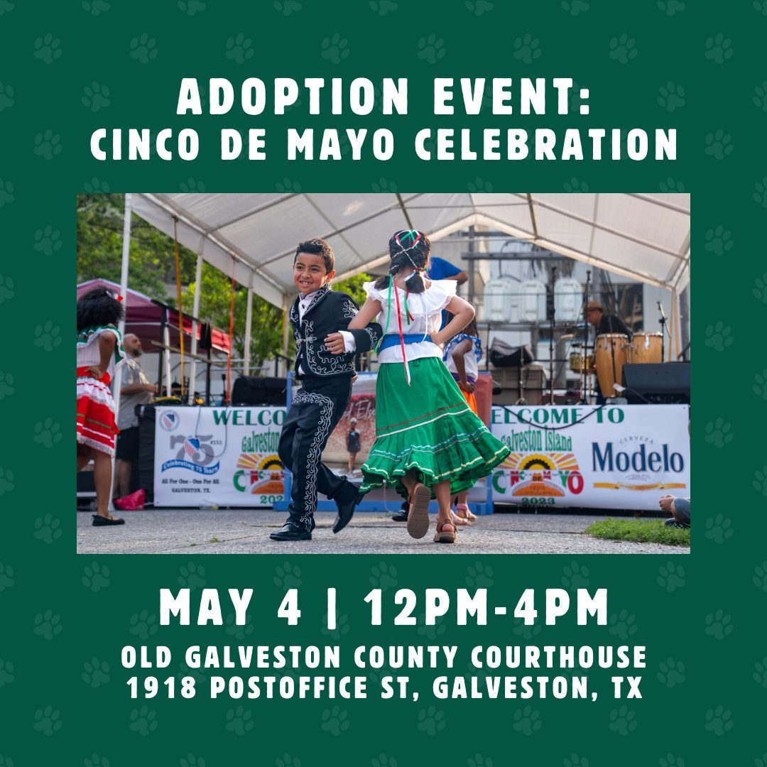 Don't miss us at the 2024 Cinco De Mayo Celebration this Saturday, May 4 from 12-4pm! This family-friendly event will feature live music, stage cars, and of course, adoptable dogs! The event is located at the Old Galveston County Courthouse at 1918 P