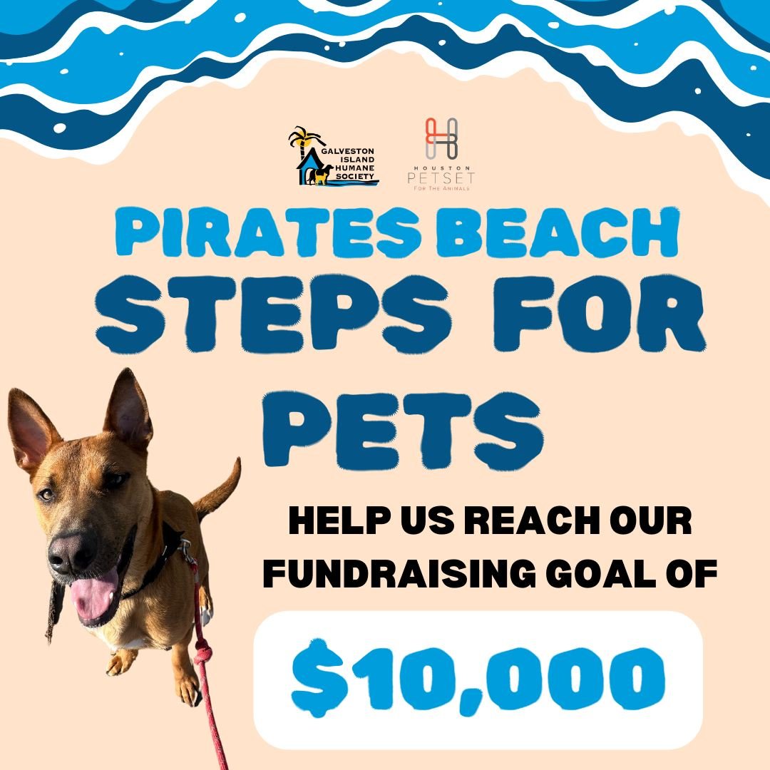 We're calling on all animal lovers and businesses to support our Pirates Beach Steps for Pets event! 💛 🐶

Can't attend our May 11th event? Show your support by becoming a sponsor! 💙

By becoming a sponsor you'll help support our community spay/neu