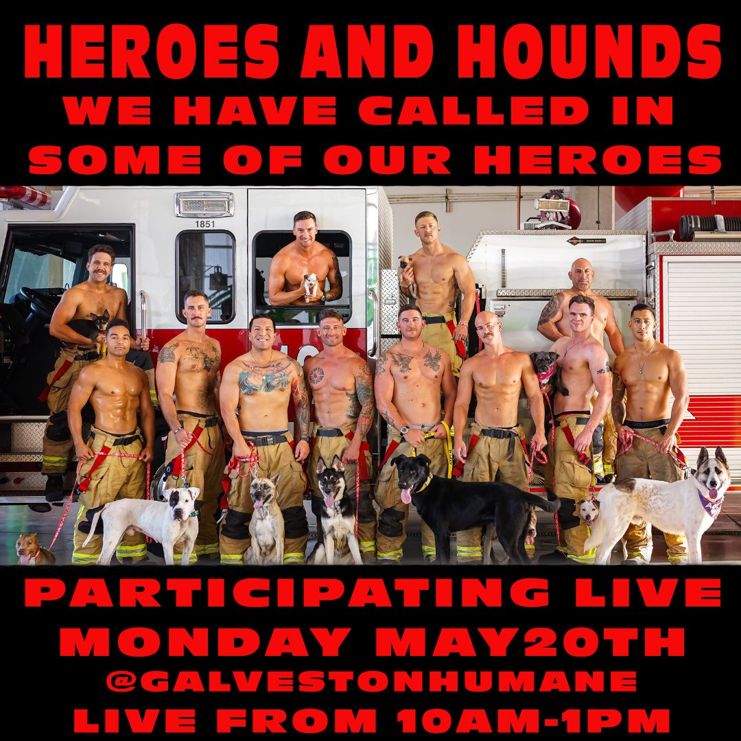 That's right, we have called in some of the Heroes to help out with our Jordan's Way Facebook Live Fundraiser on May 20th from 10am -1pm. at the Galveston Island Humane Society Make sure to share with your friends and tune in for the show. Can you he