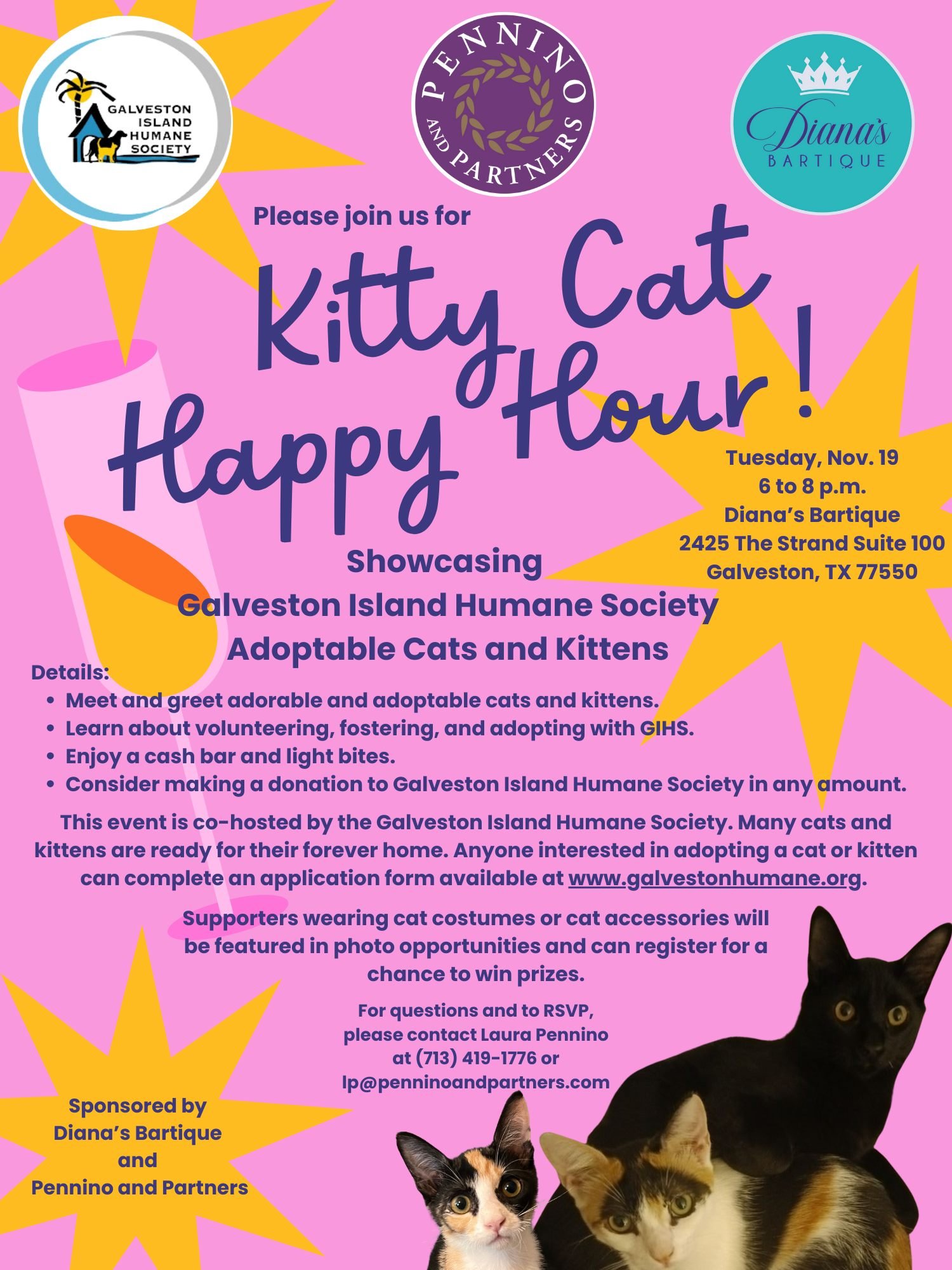 Don't forget to stop by Diana's Bartique on the Strand from 6-8 tonight to visit with some of our available fosters! We hope to see you there! 😺😻🐾