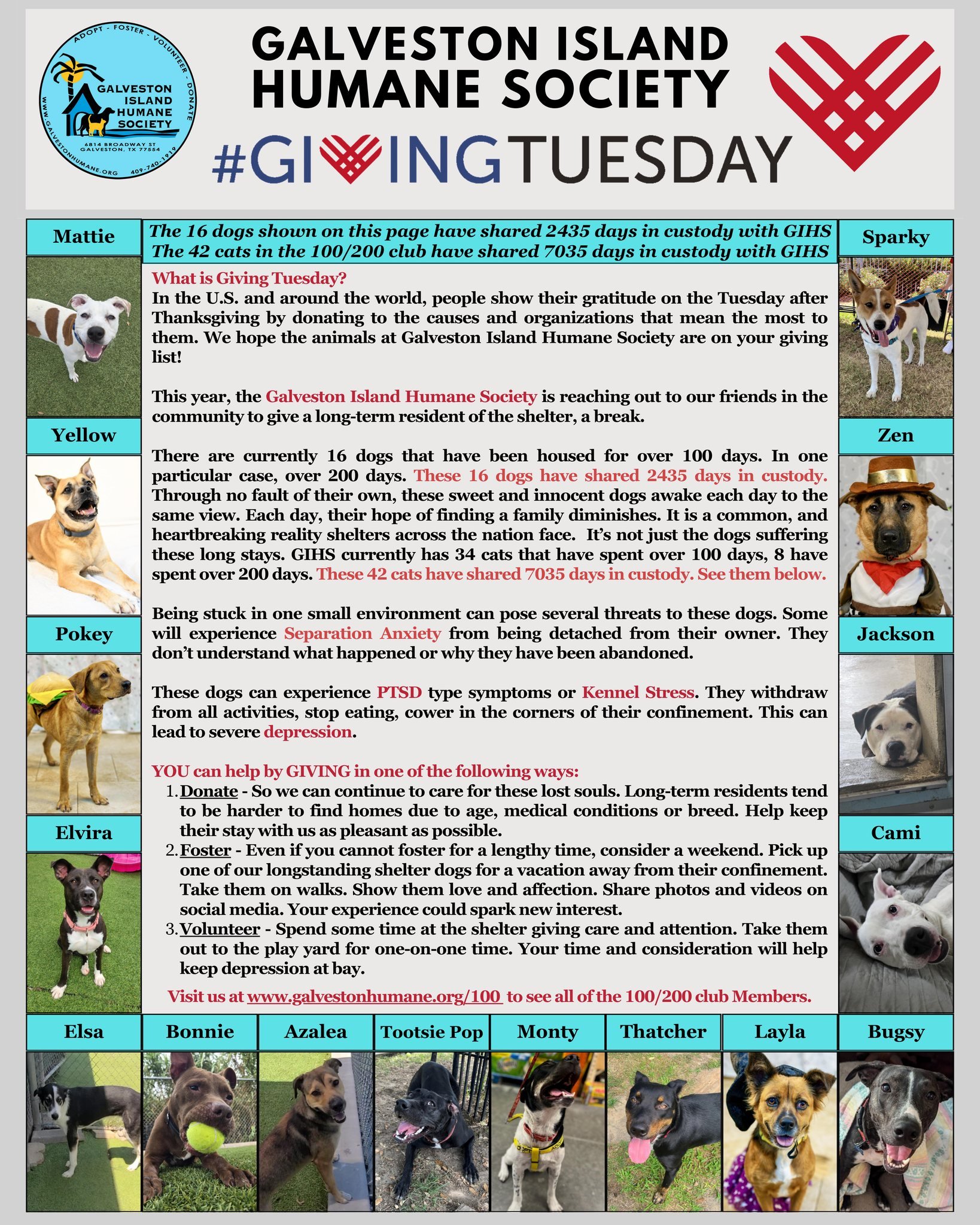What is Giving Tuesday?
In the U.S. and around the world, people show their gratitude on the Tuesday after Thanksgiving by donating to the causes and organizations that mean the most to them. We hope the animals at Galveston Island Humane Society are