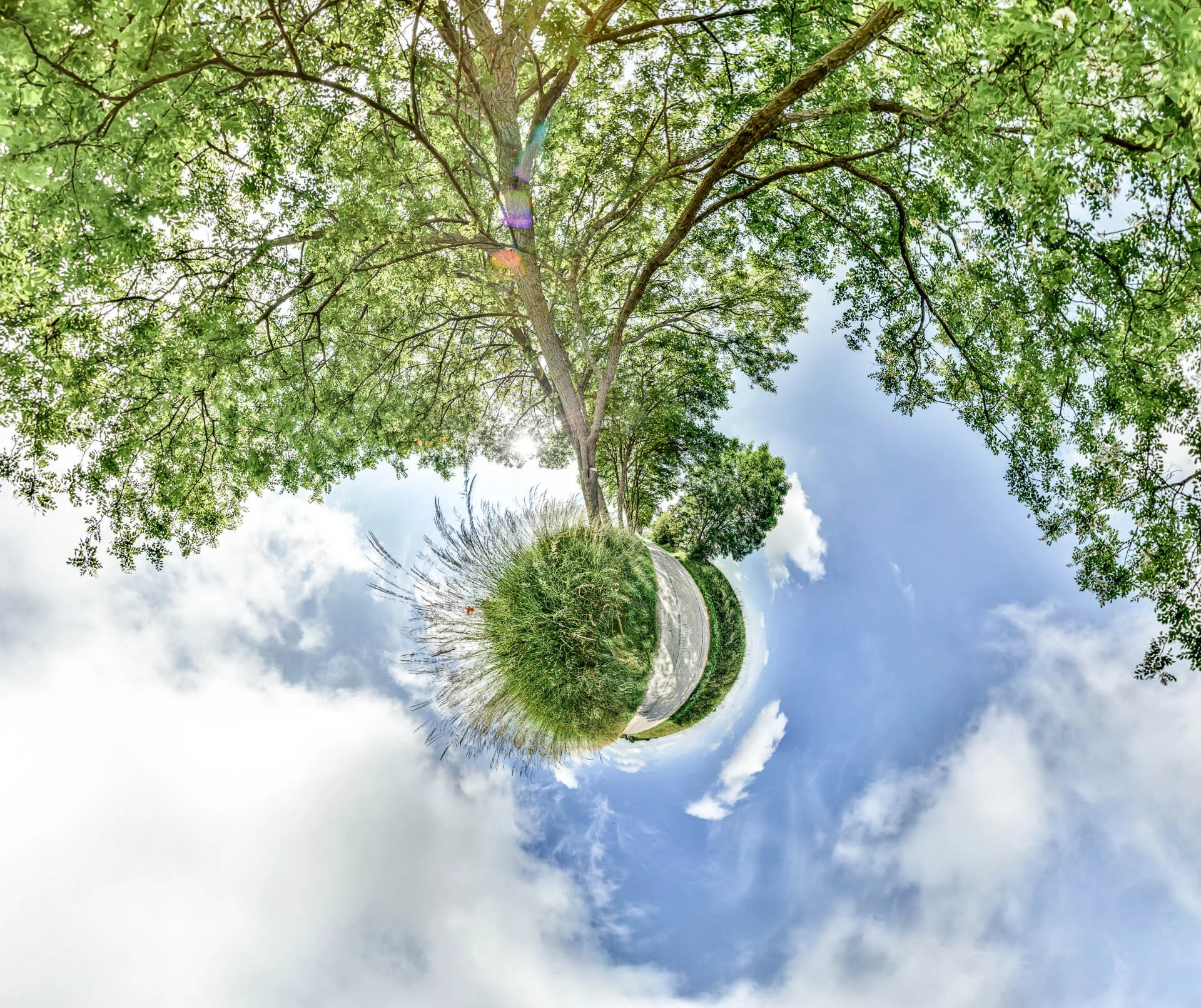 Photo Mini planete Walloon Brabant | Professional photographer Wallonia