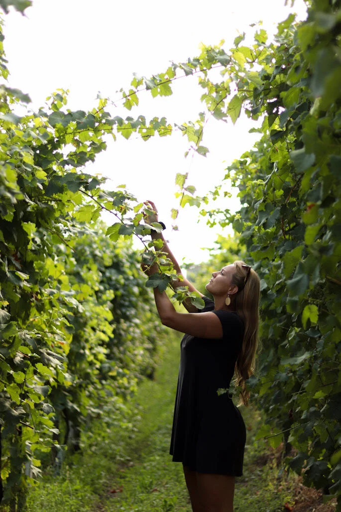 Grabbing a snack in a multi-million dollar vineyard.Valdobbiadene, Italy