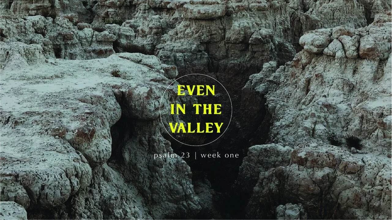Even in the Valley // Psalm 23 - Part 1 // The Lord Leads in Our Need