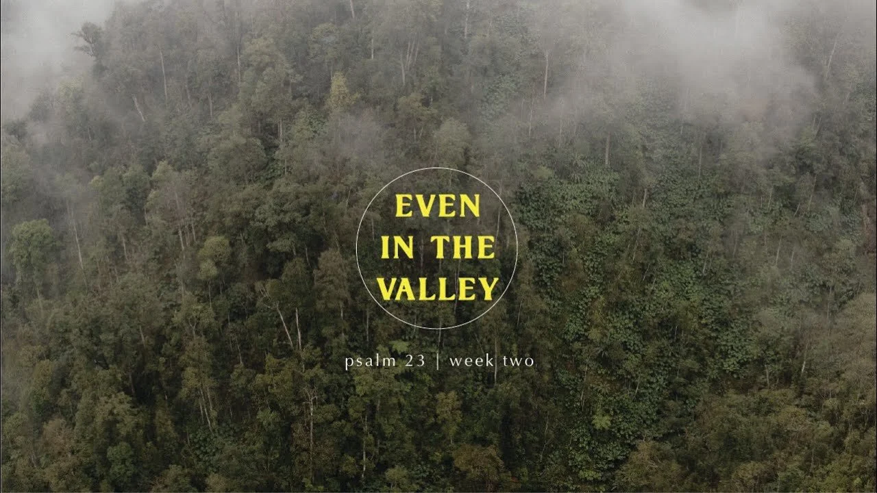 Even the Valley // Psalm 23 - Part 2 // The Lord Protects in the Valley