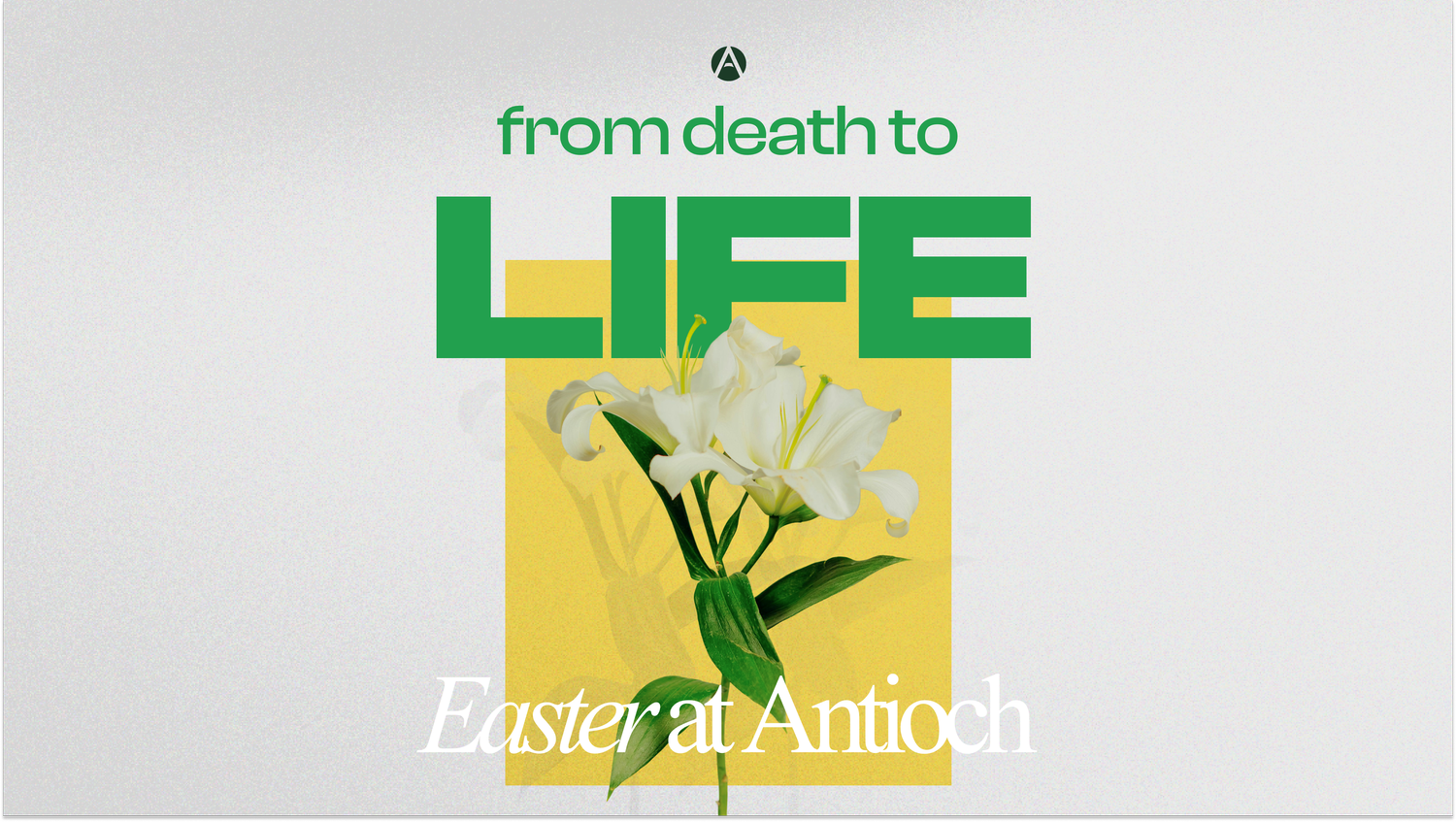From Death to Life episode artwork
