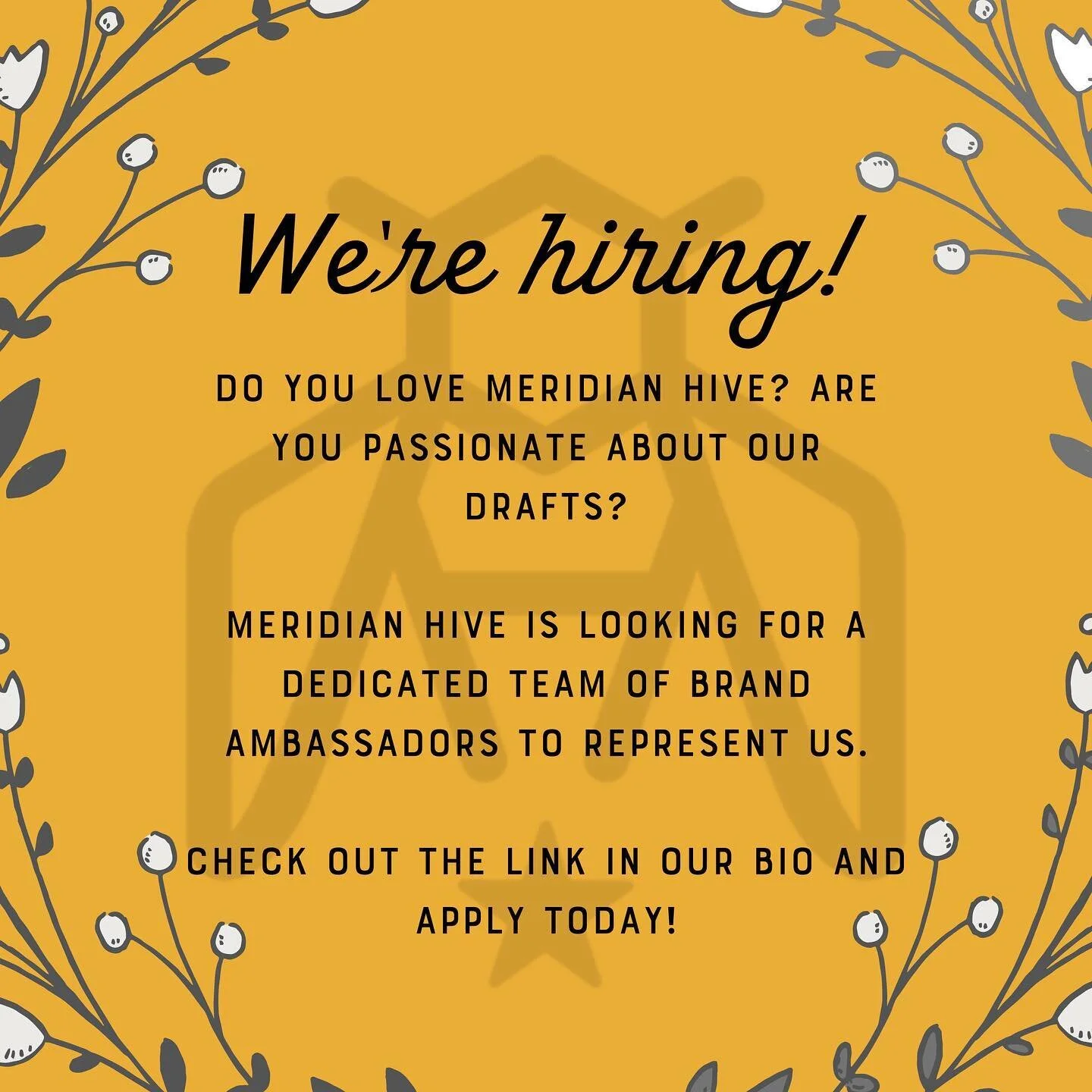 Meridian Hive Austin Texas Make delicious beverages from Pure Honey & Real Fruit