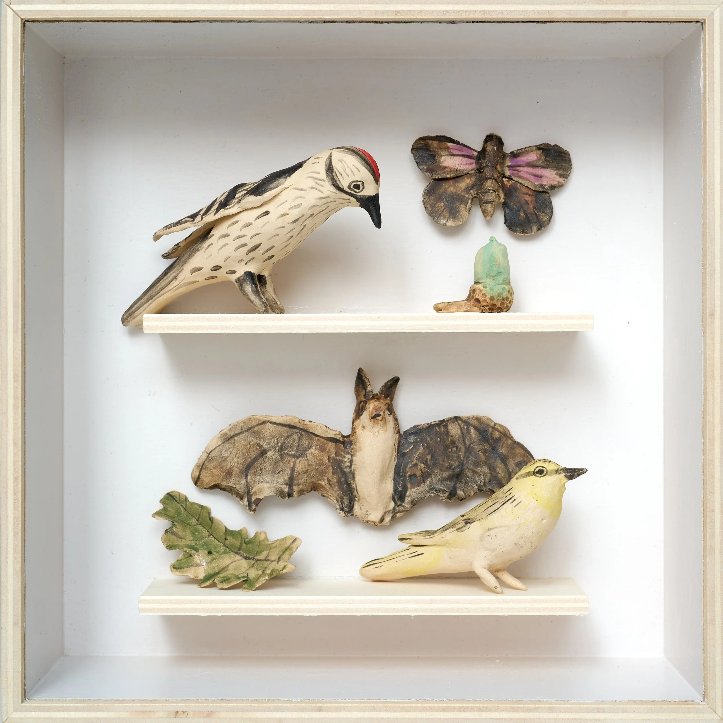 Oak Life Box I (Lesser Spotted Woodpecker, Purple Hairstreak Butterfly, Bechsteins Bat, Wood Warbler), ceramic, plywood, Persex, 20x20cm