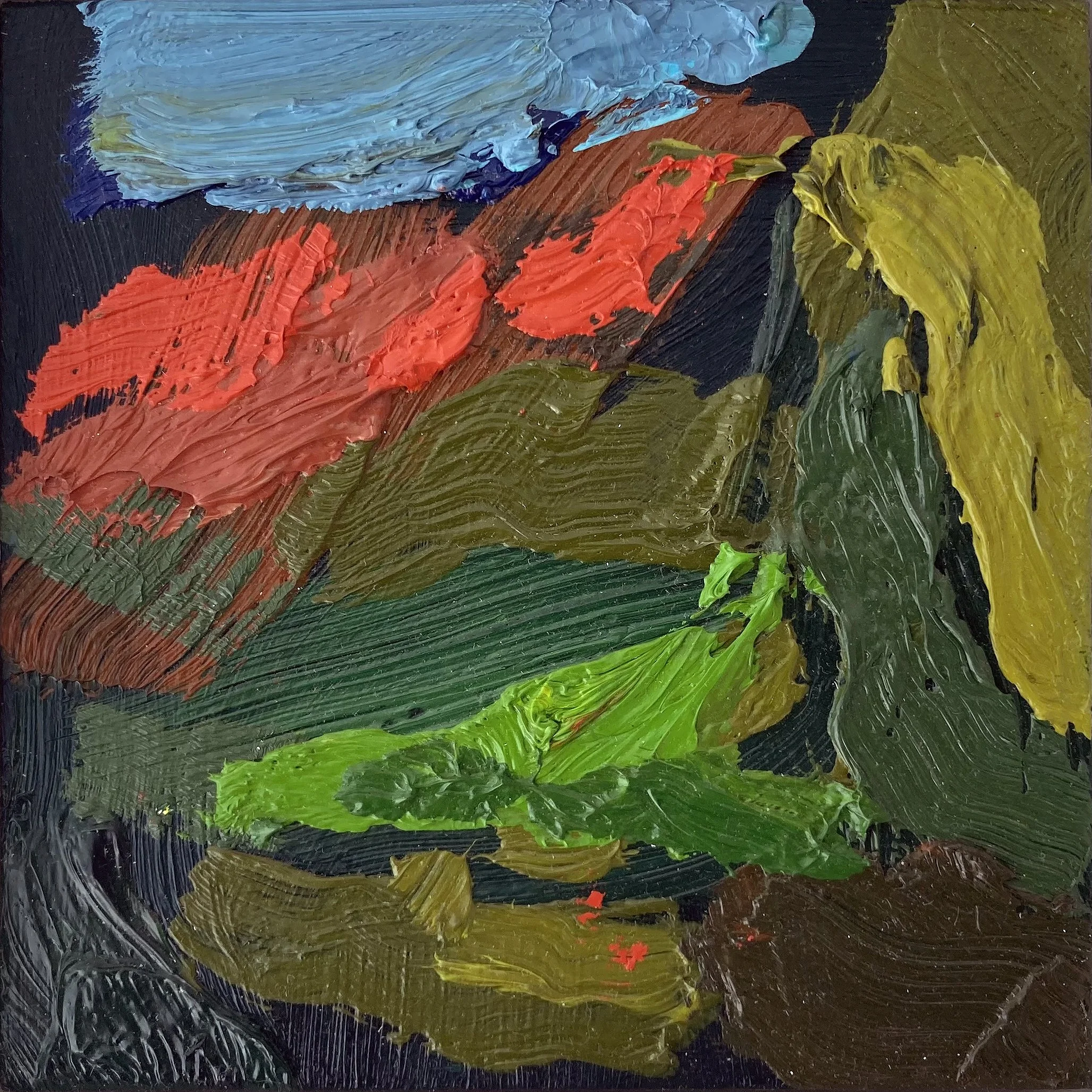 Garden VI, oil on aluminium