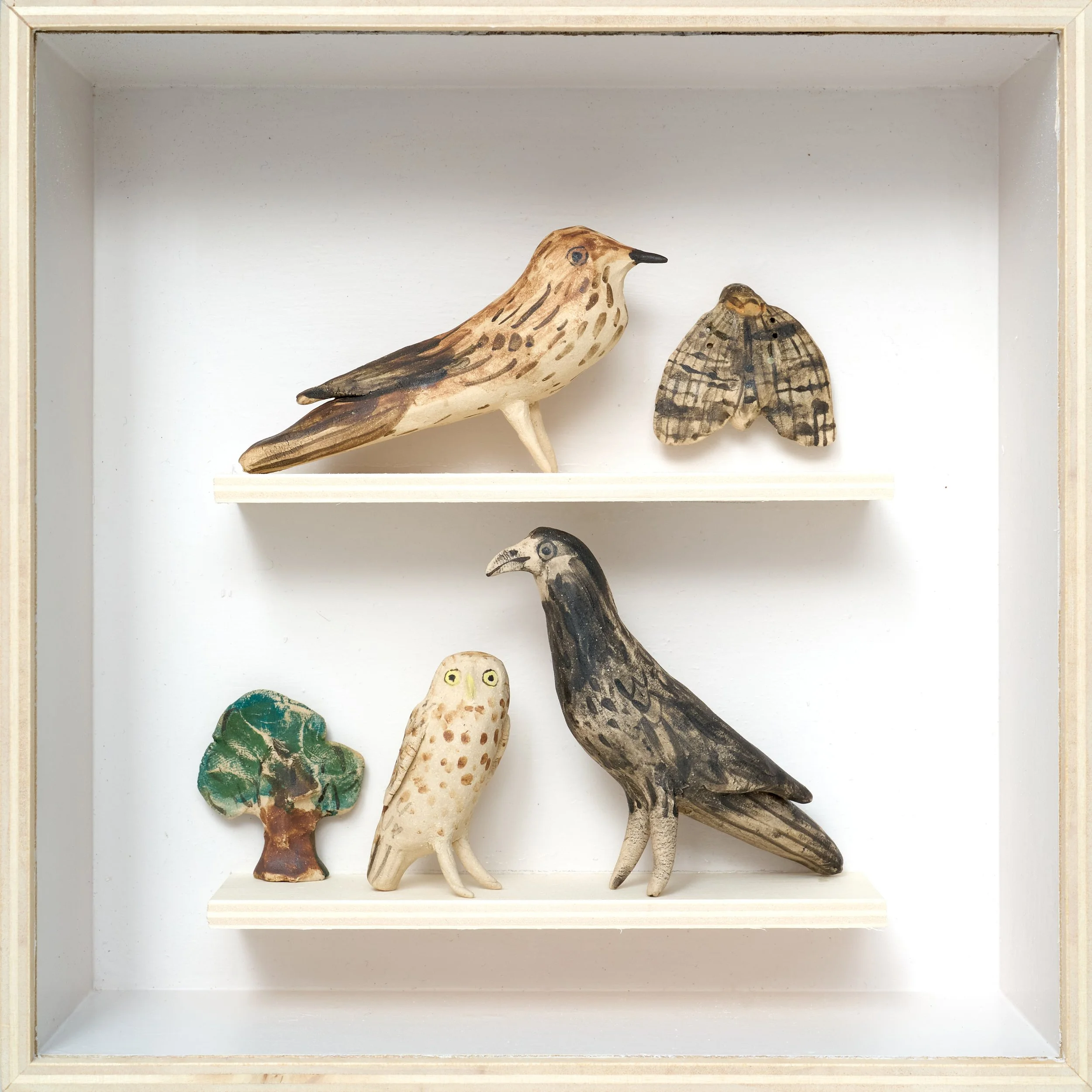 Oak Life Box III (Tree Pipit, Goat Moth, Little Owl, Rook), ceramic, plywood, Persex, 20x20cm