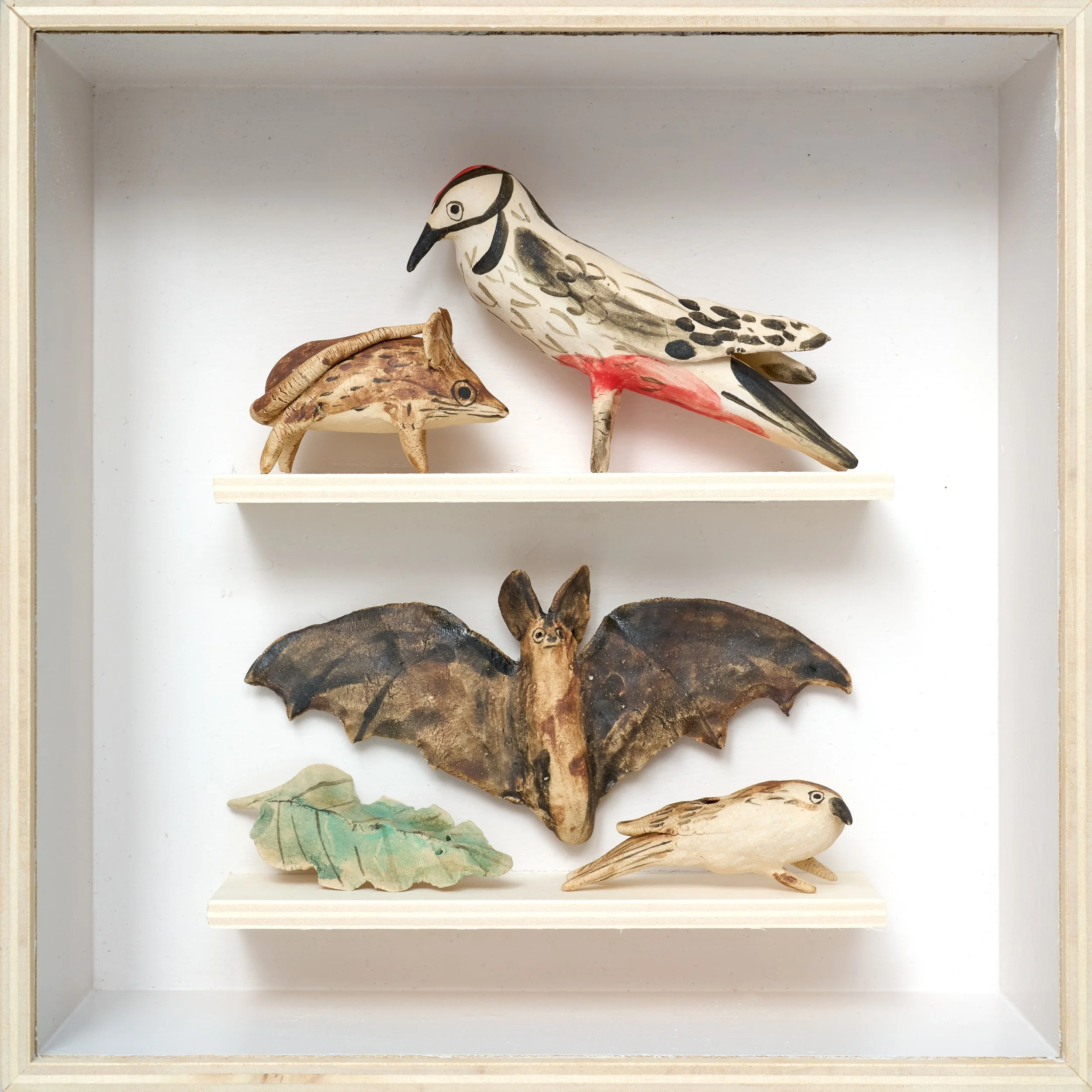 Oak Life Box II (Woodmouse, Greater Spotted Woodpecker, Barbastelle Bat, Tree Creeper), ceramic, plywood, Persex, 20x20cm