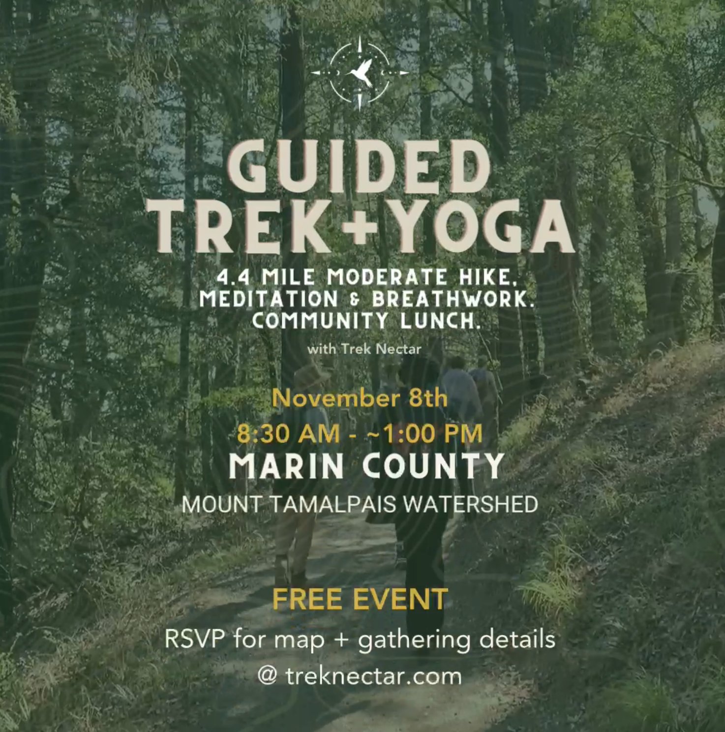 Guided Trek + Yoga: Marin, California