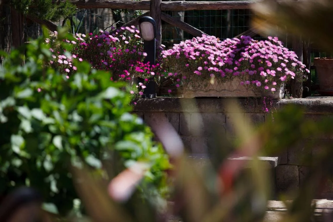 sorrento villa 31.jpg