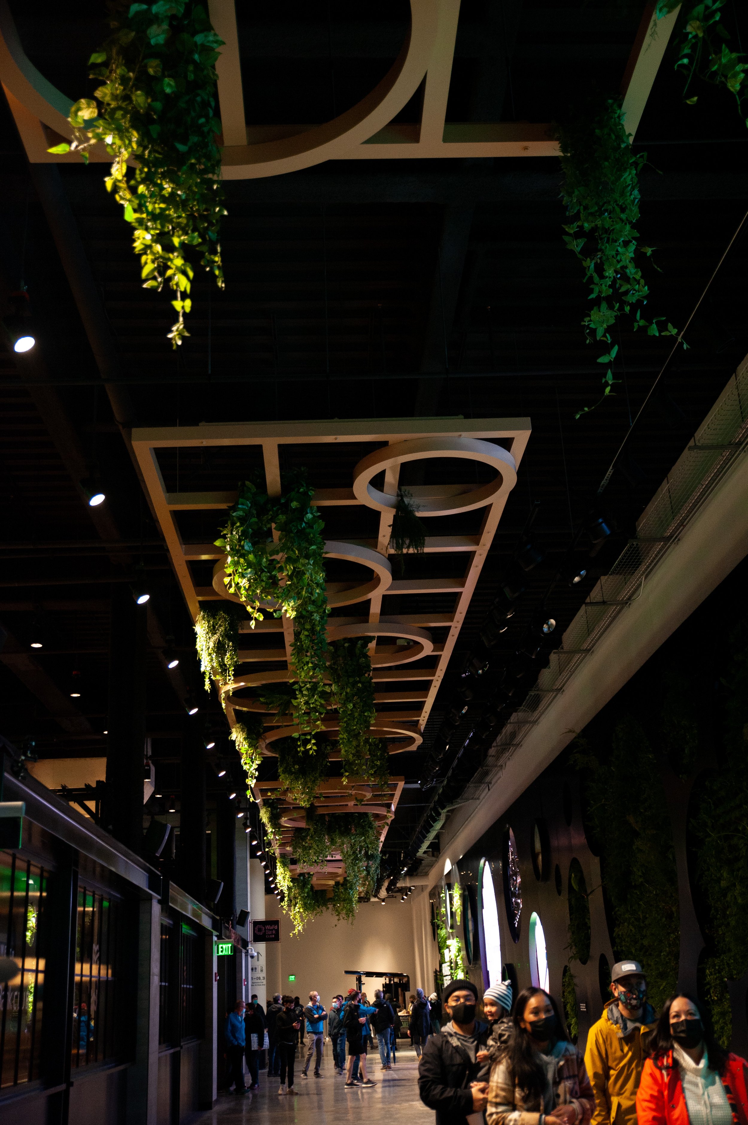 _DSC9793.jpg