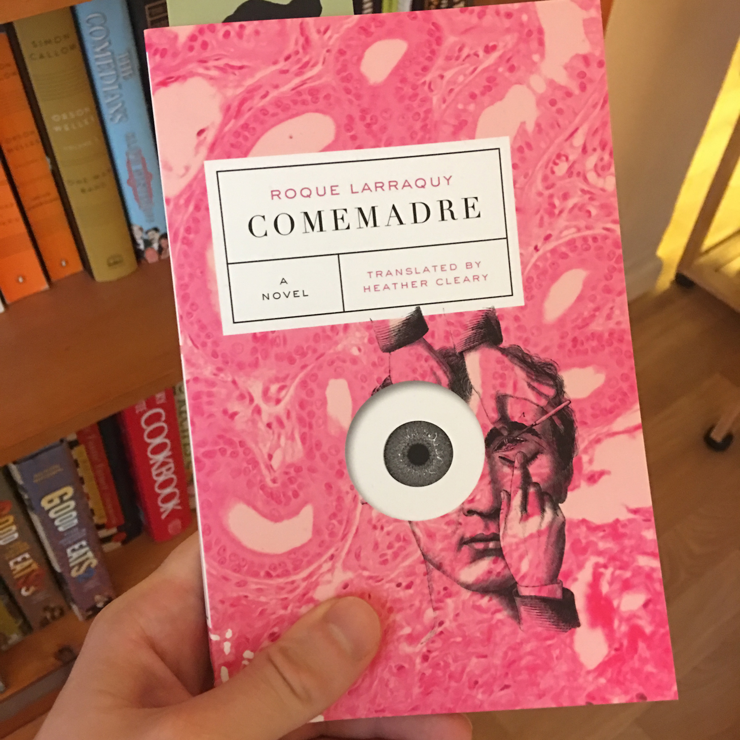 Comemadre by Roque Larraquy