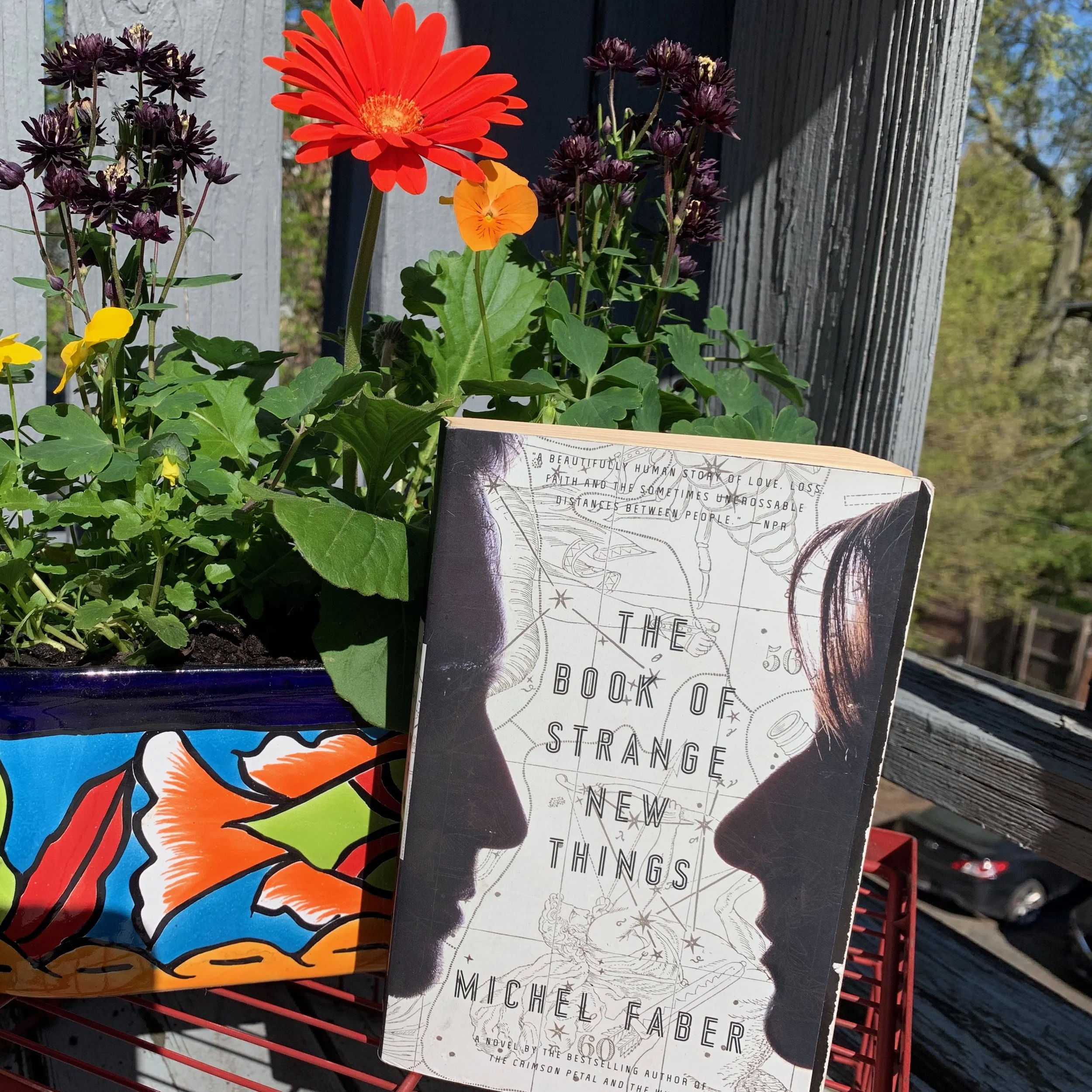 The Book of Strange New Things by Michael Faber