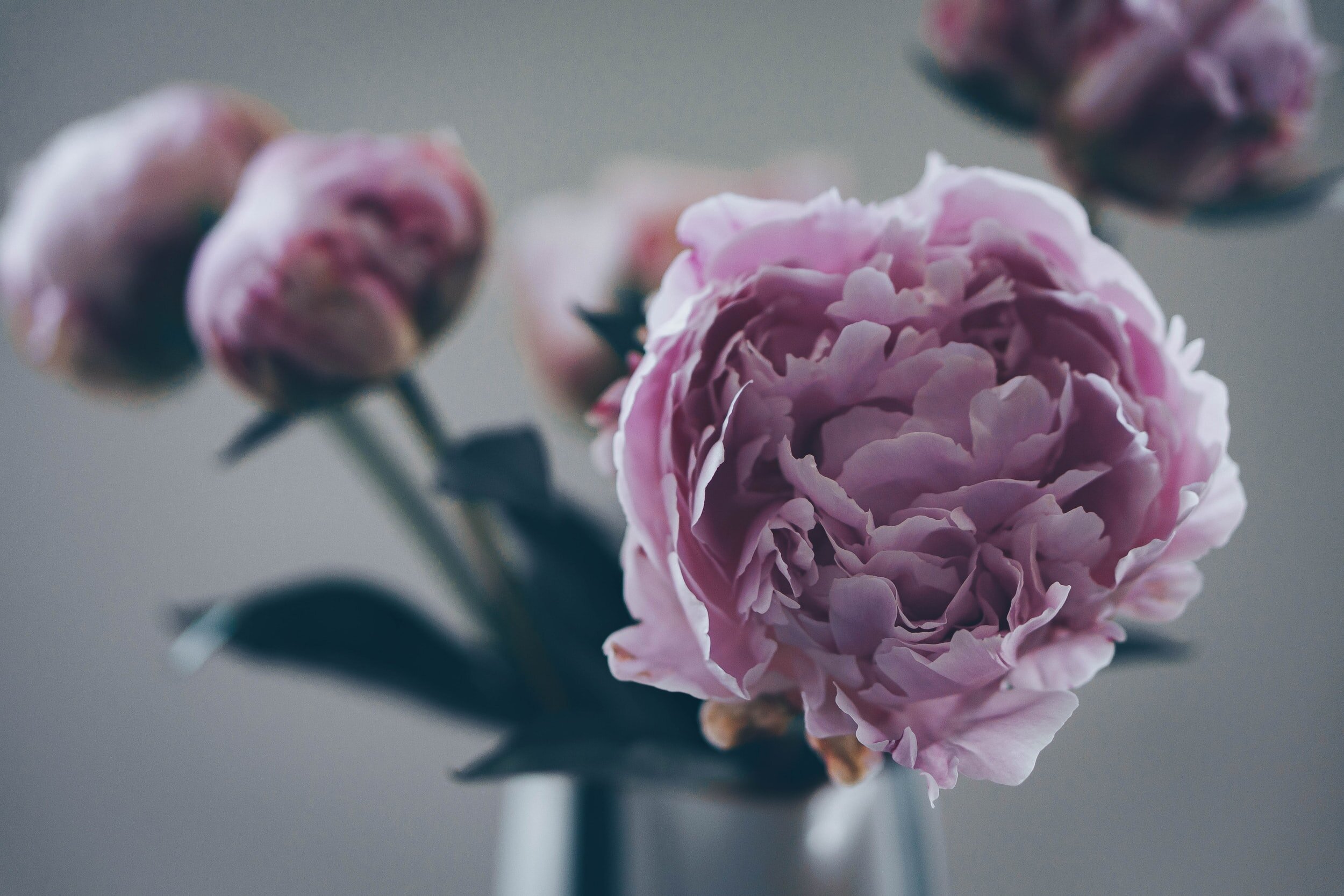 In This Poem Only