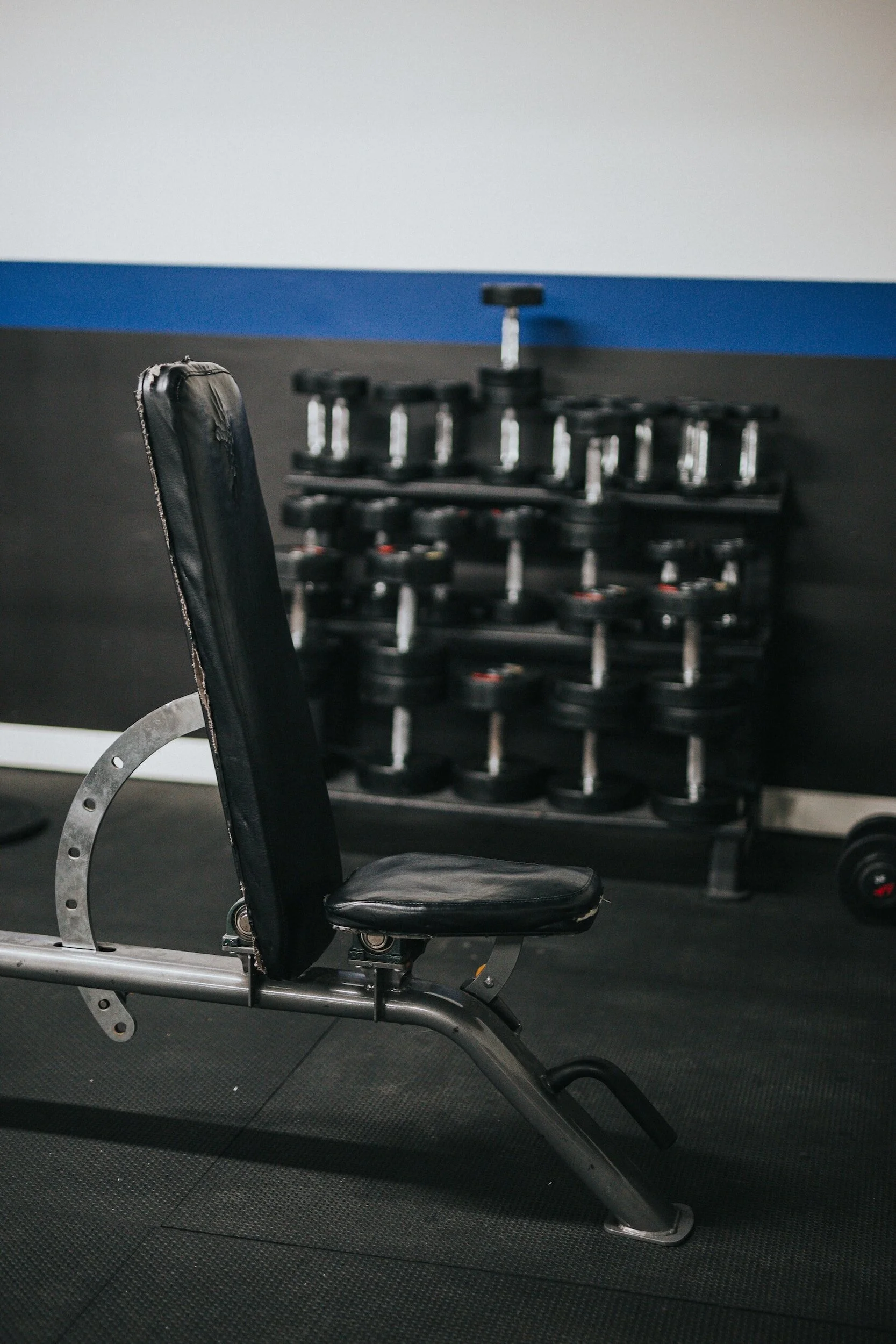Free Weights
