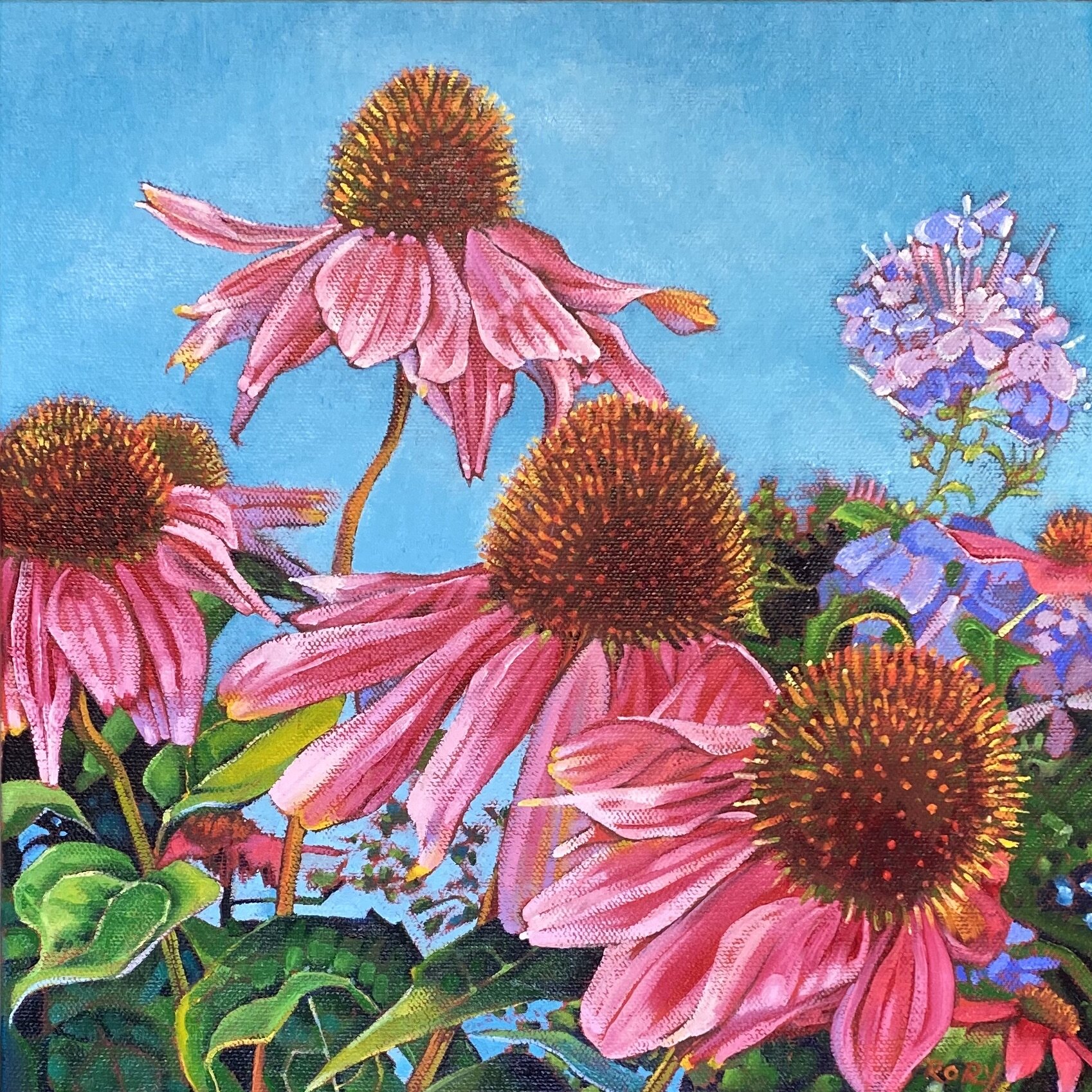 Purple Cone Flowers 2