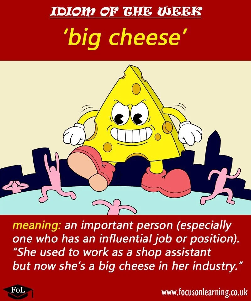 Illustrated Idioms - FoL English - All-in-one independent English ...