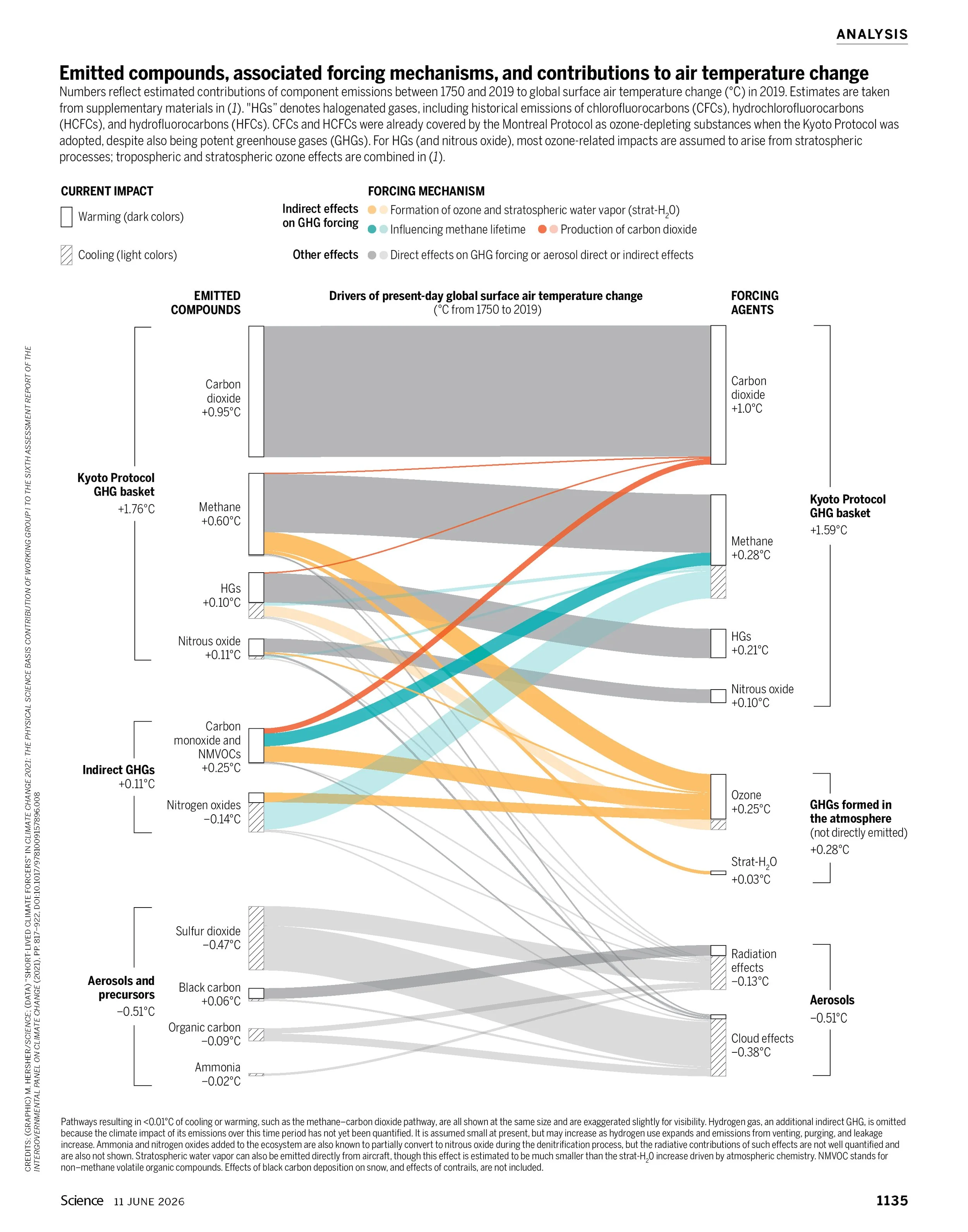 Science, 11 June 2026