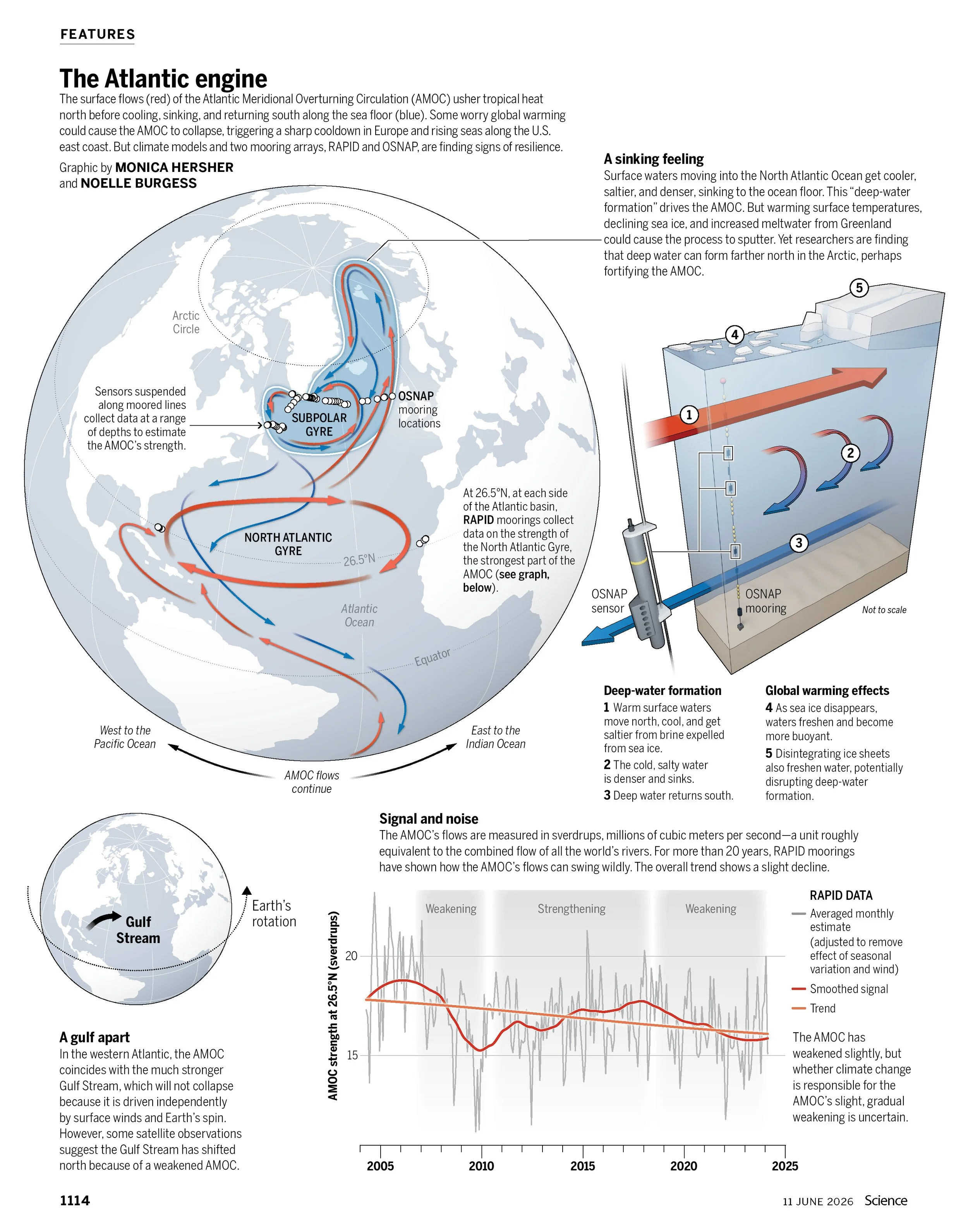Science, 11 June 2026; Collaboration with Noelle Burgess; Scrollytelling version available online