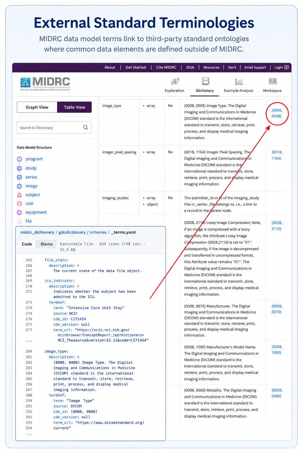 Terms in the MIDRC data model, which point to third-party standard ontologies where common data elements are defined outside of MIDRC.