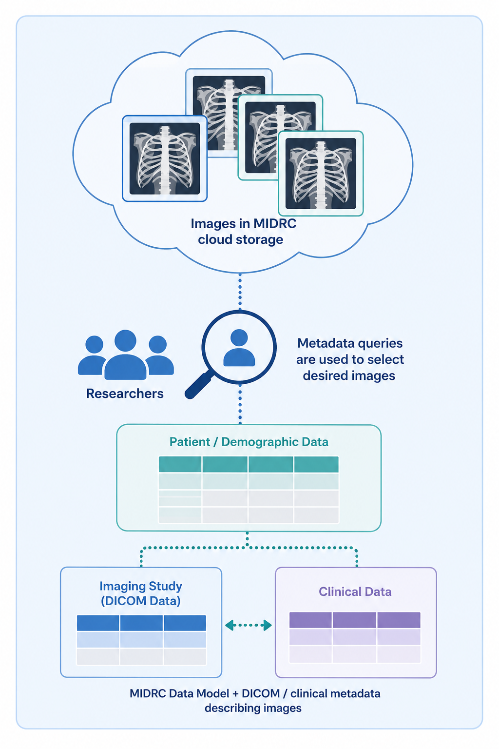 Image illustrating the process for building a cohort with medical images and corresponding clinical data