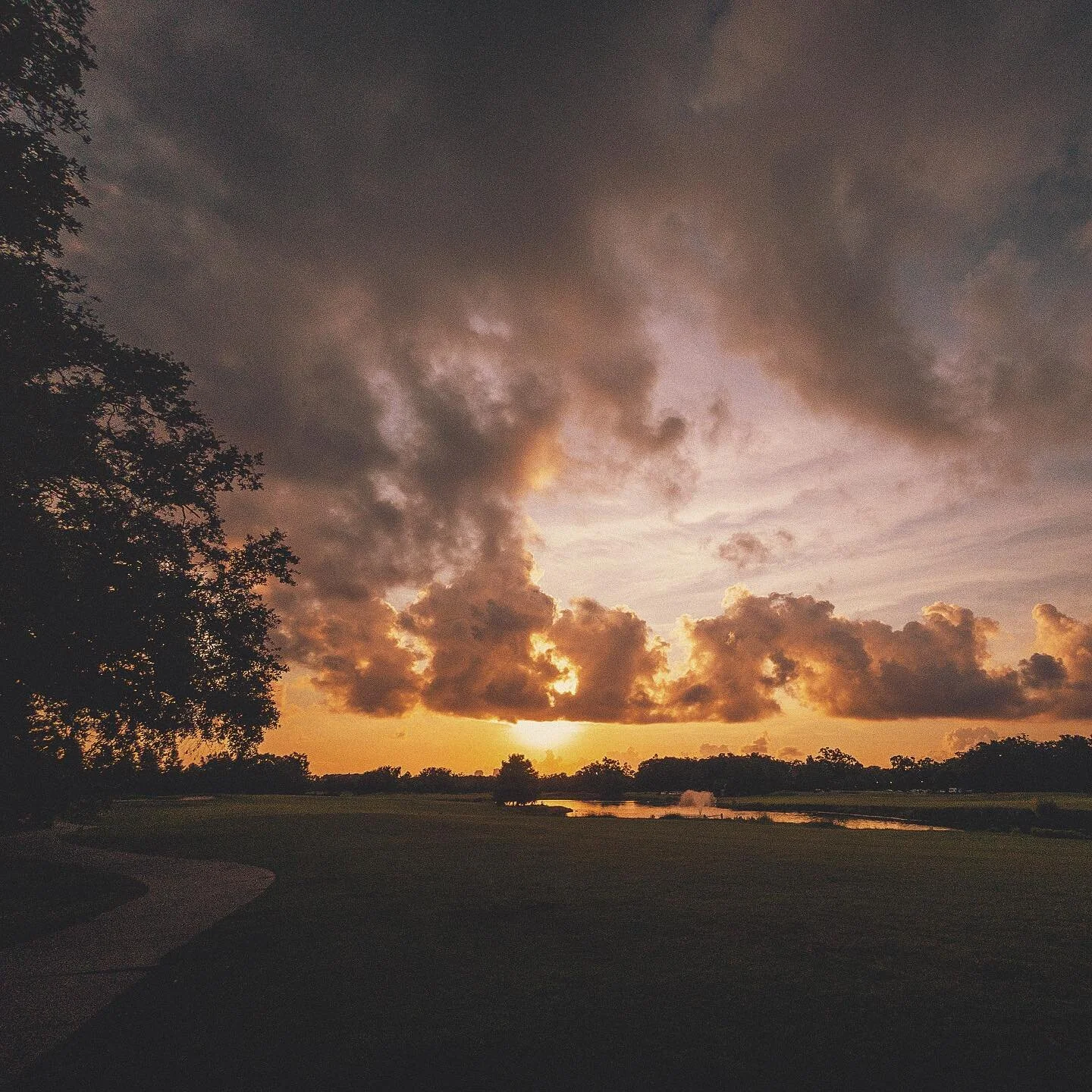 🌤