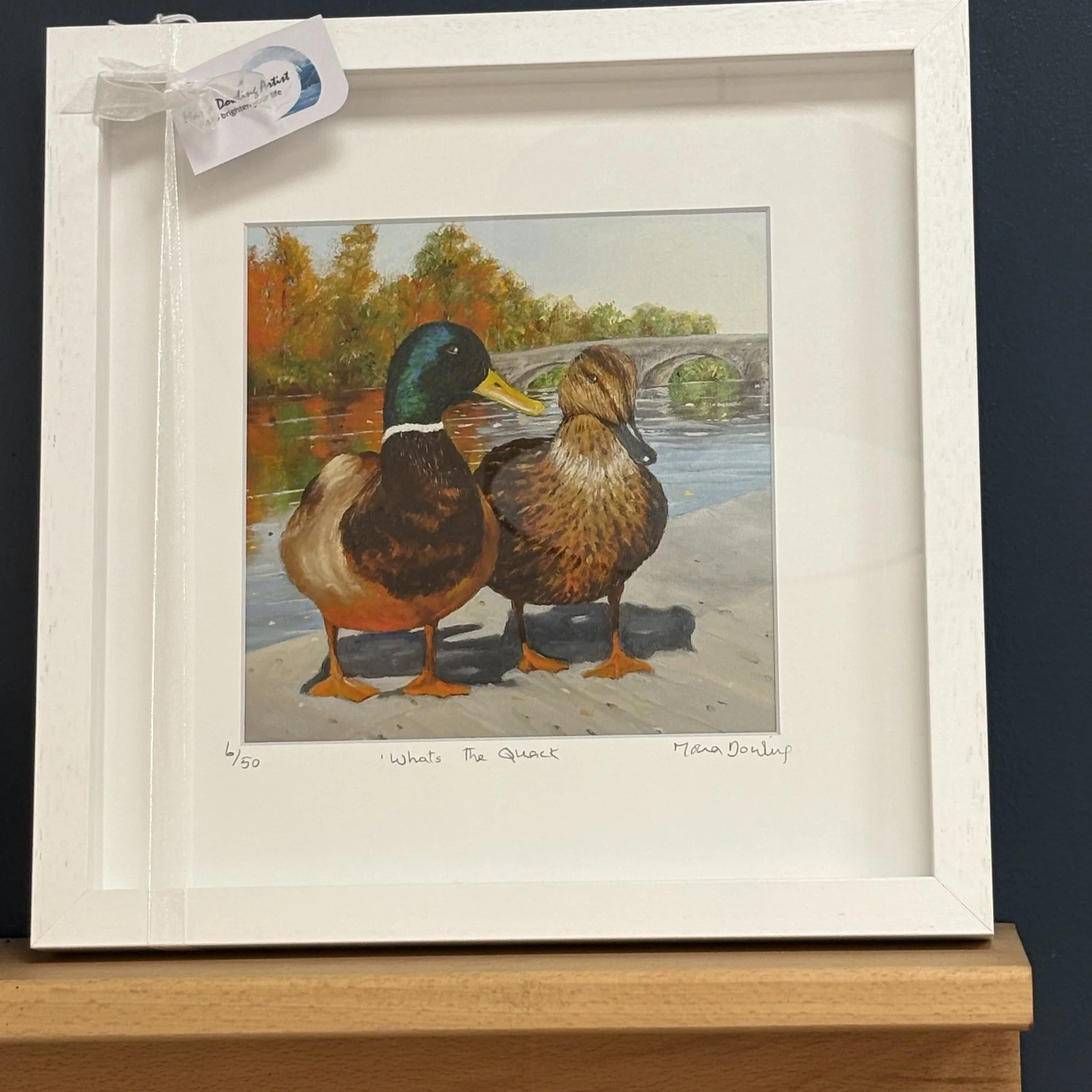 whats the quack.jpeg