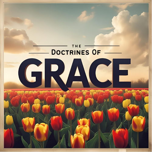 The Doctrines of Grace