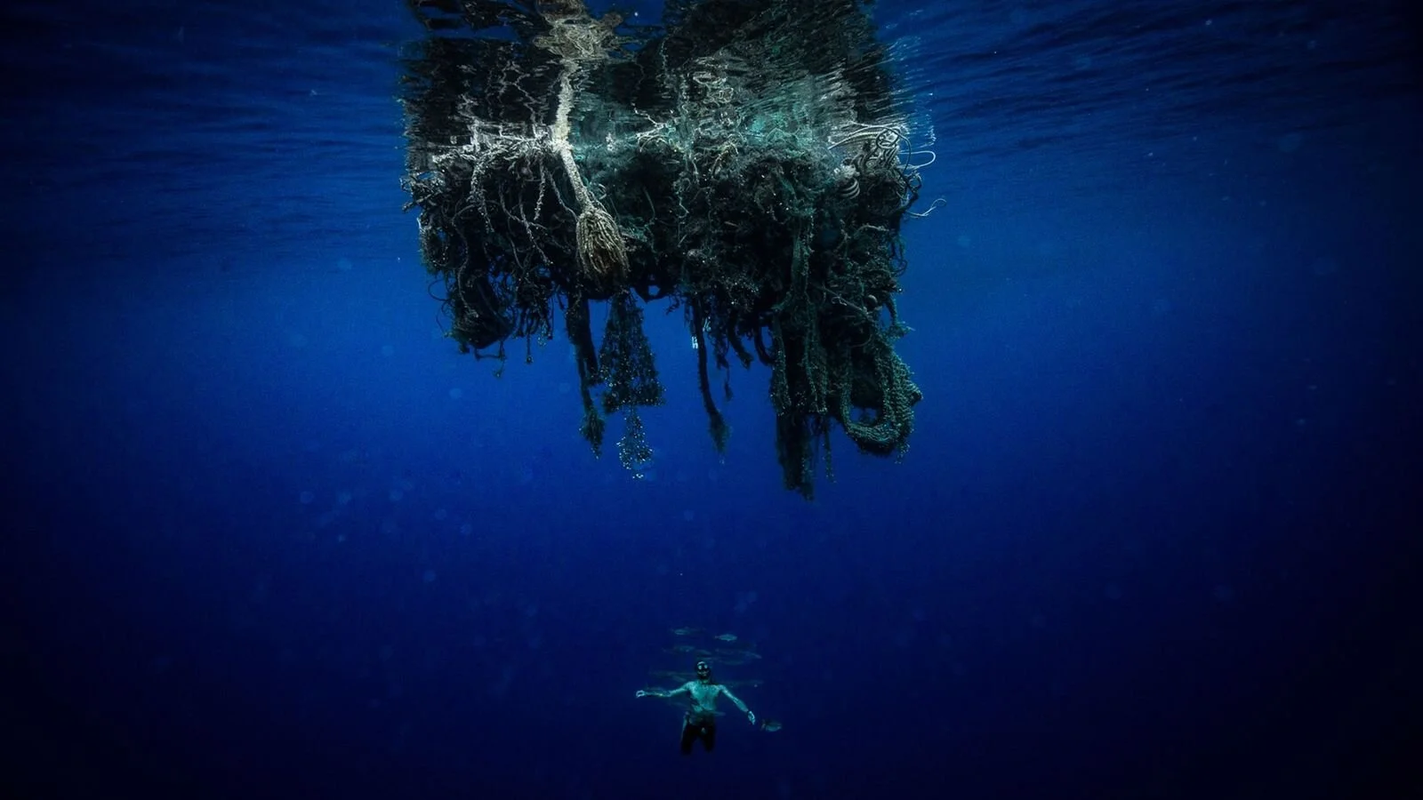 This is what it's like to swim through the Great Pacific Garbage Patch