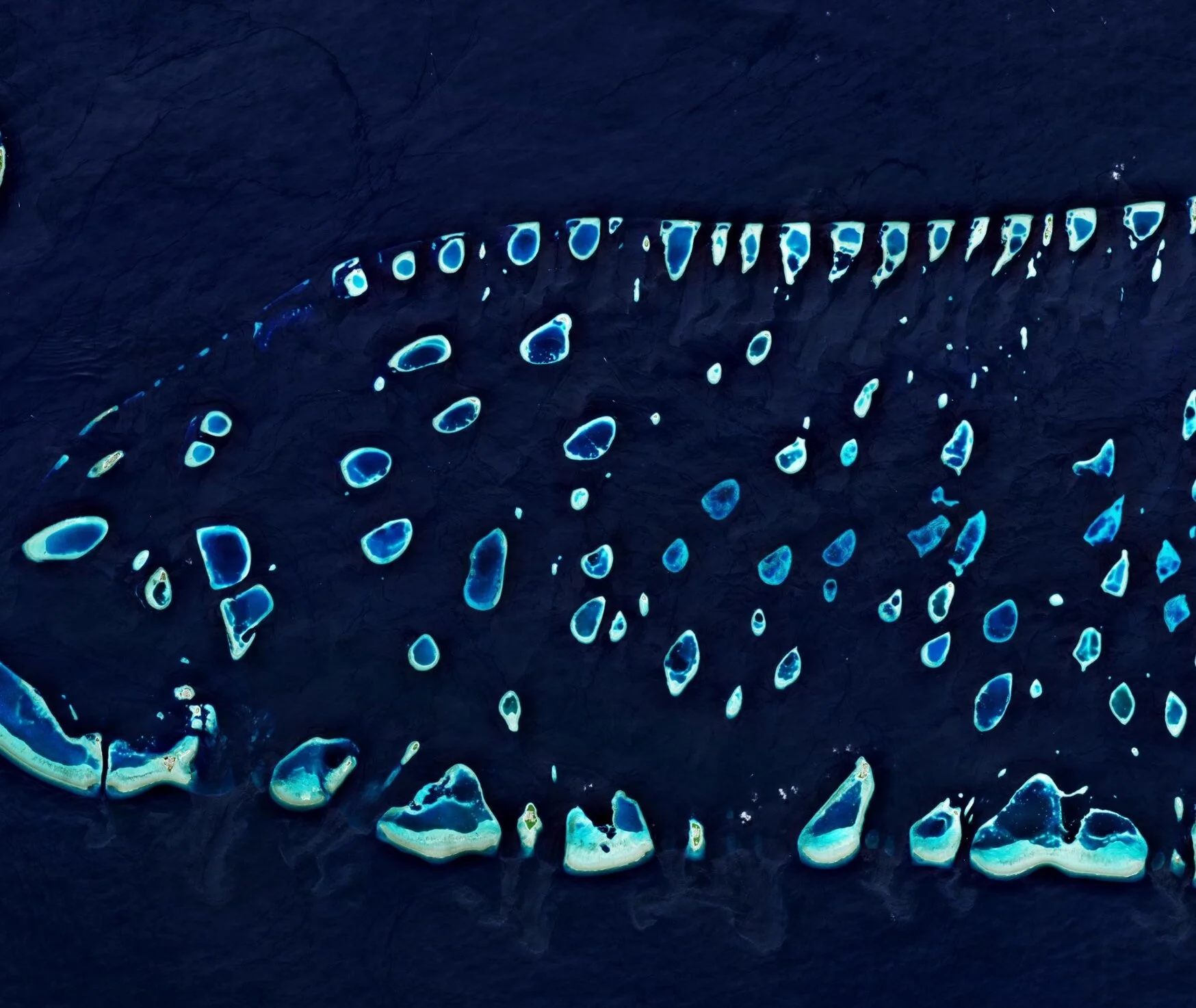 Microplastics have moved into virtually every crevice on Earth