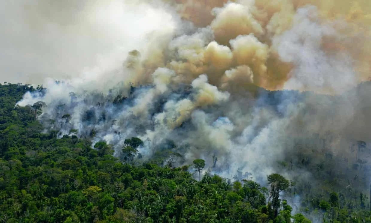 Amazon rainforest now emitting more CO2 than it absorbs