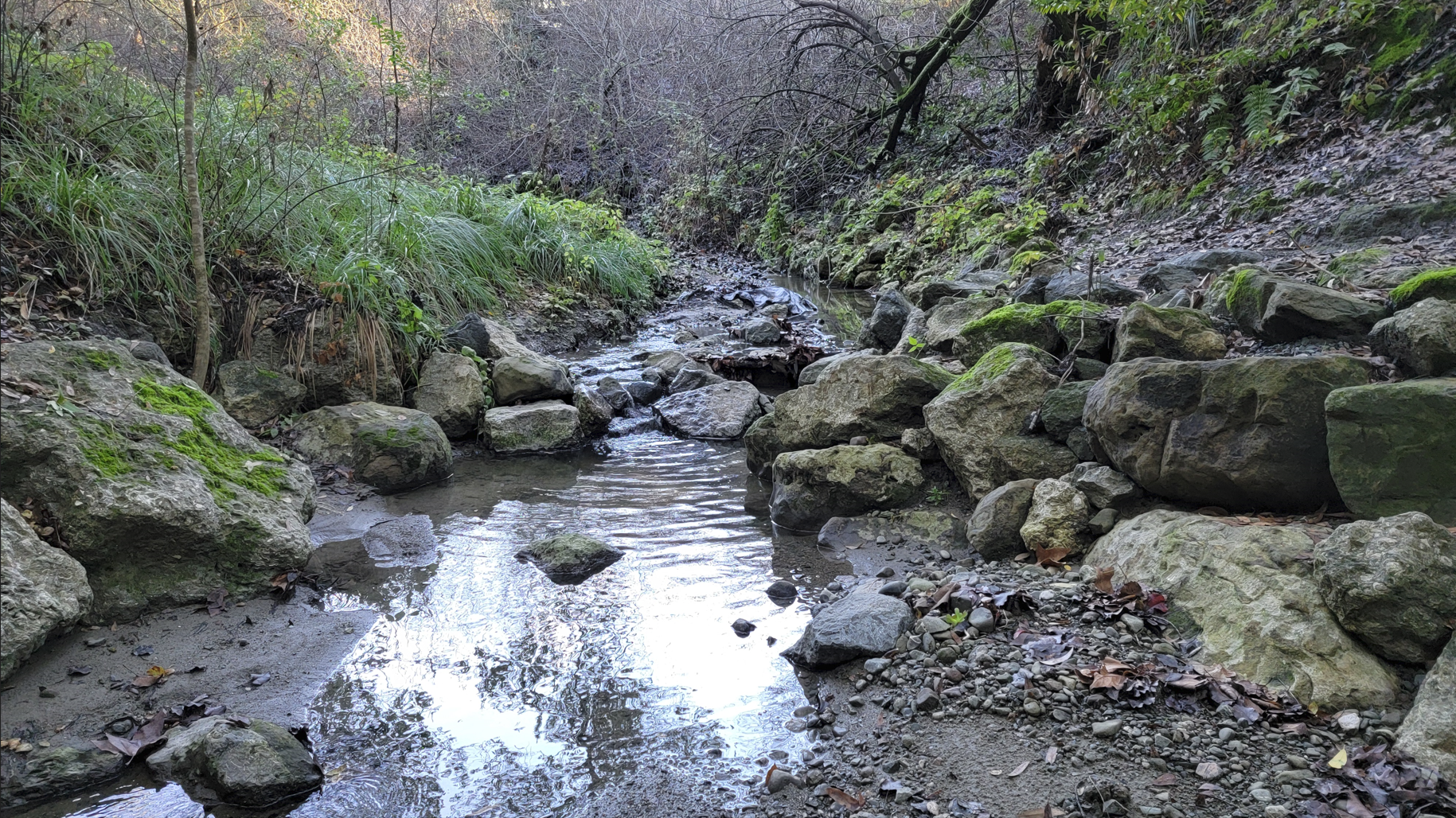 Martin Canyon Creek Flood Damage Repair | Dublin, CA