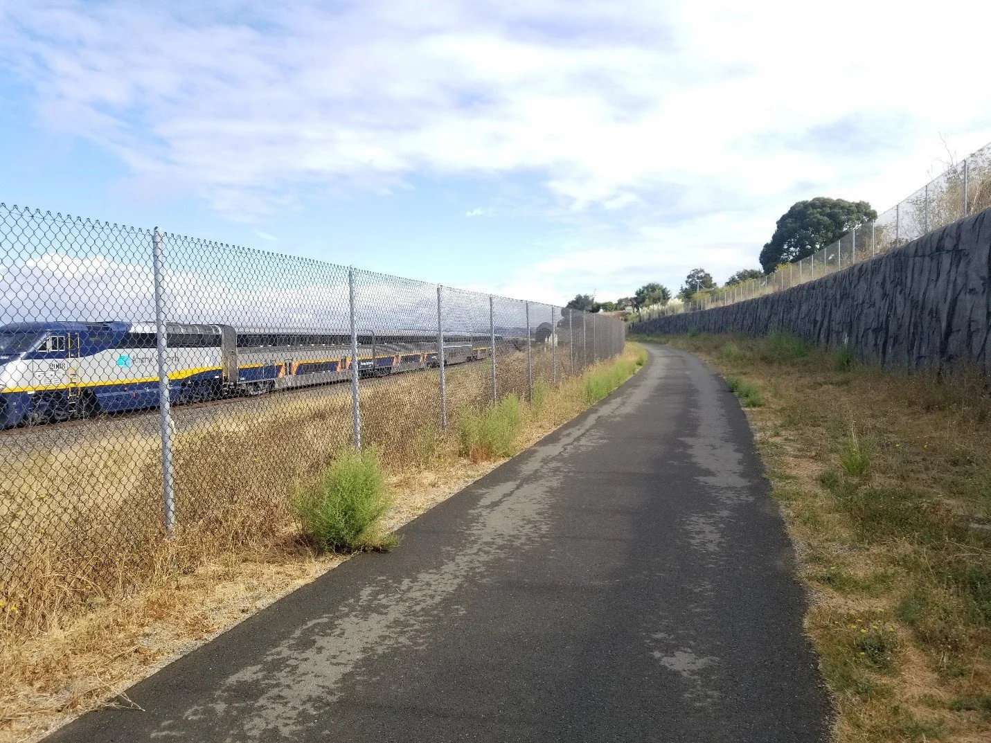 San Francisco Bay Trail | Hercules, CA