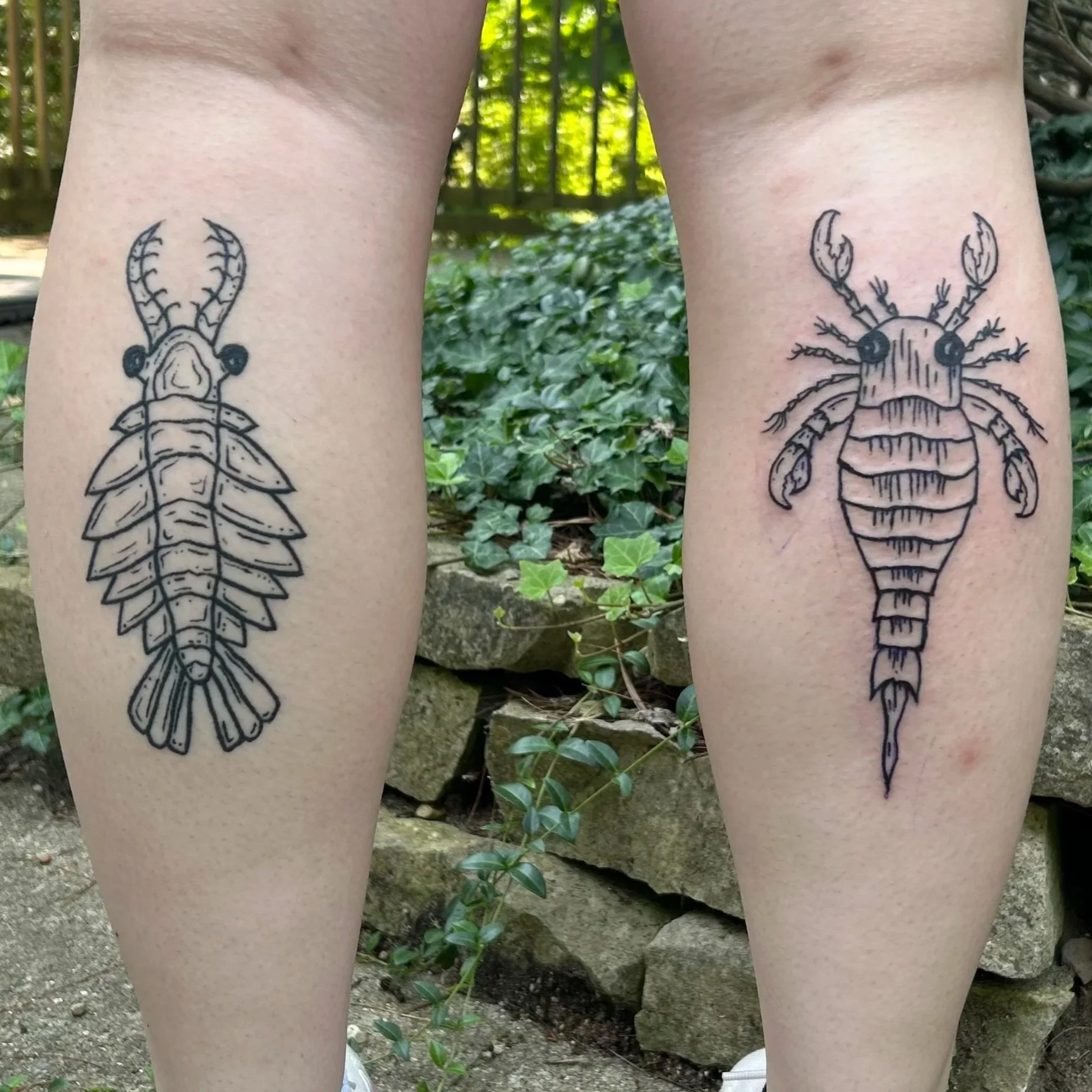 left leg healed 5 months