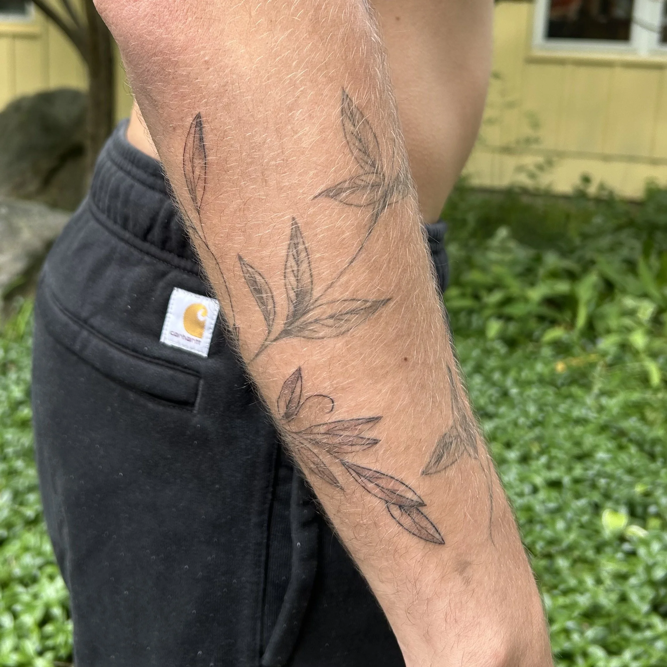 IMG_3351.jpeg