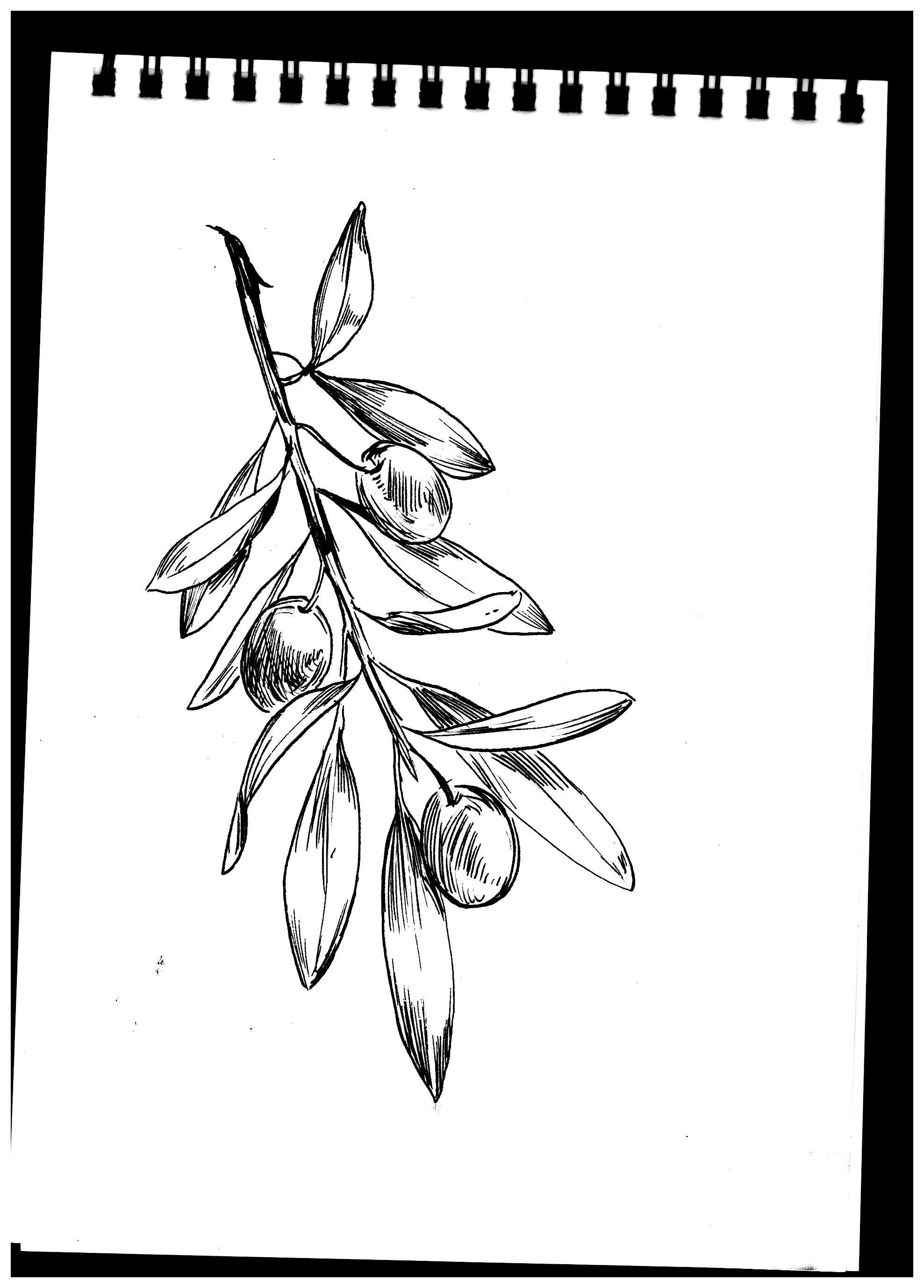 Scan 27.jpeg