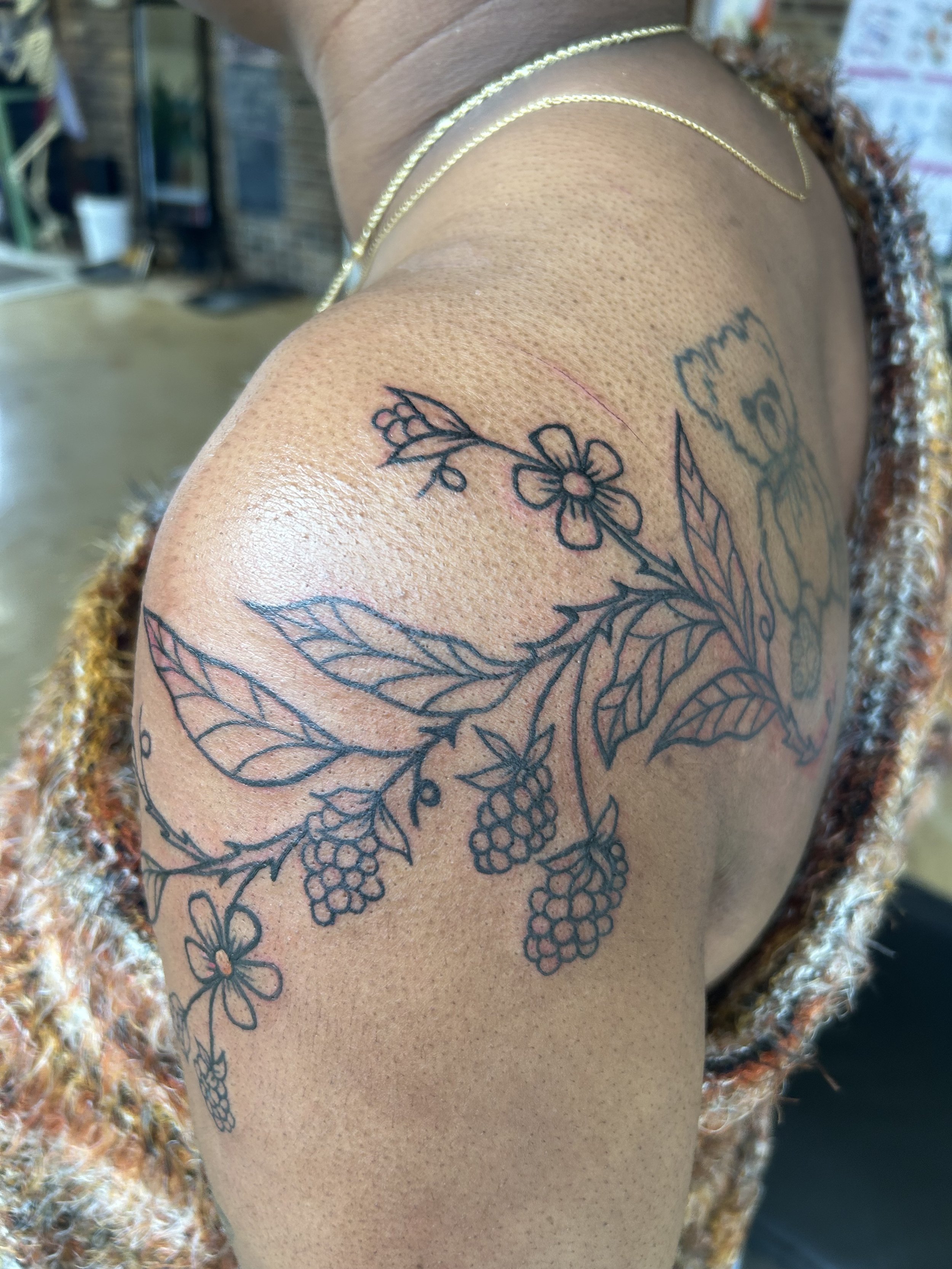 drawn-on blackberry vine (WIP, color will be added)