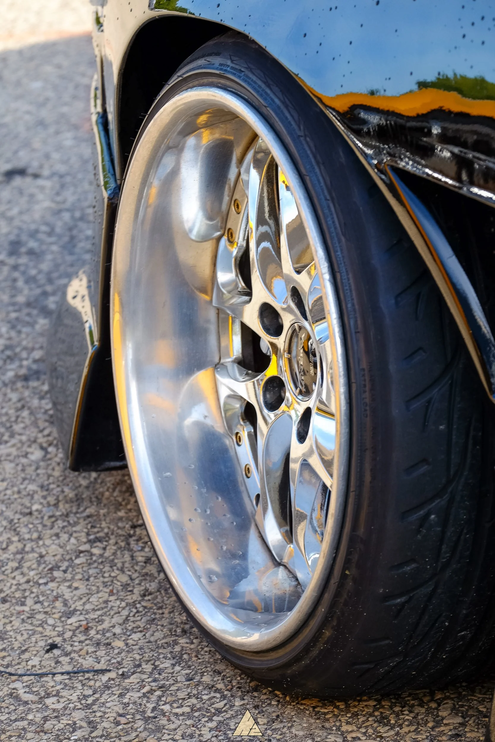 DSCF1570.jpg