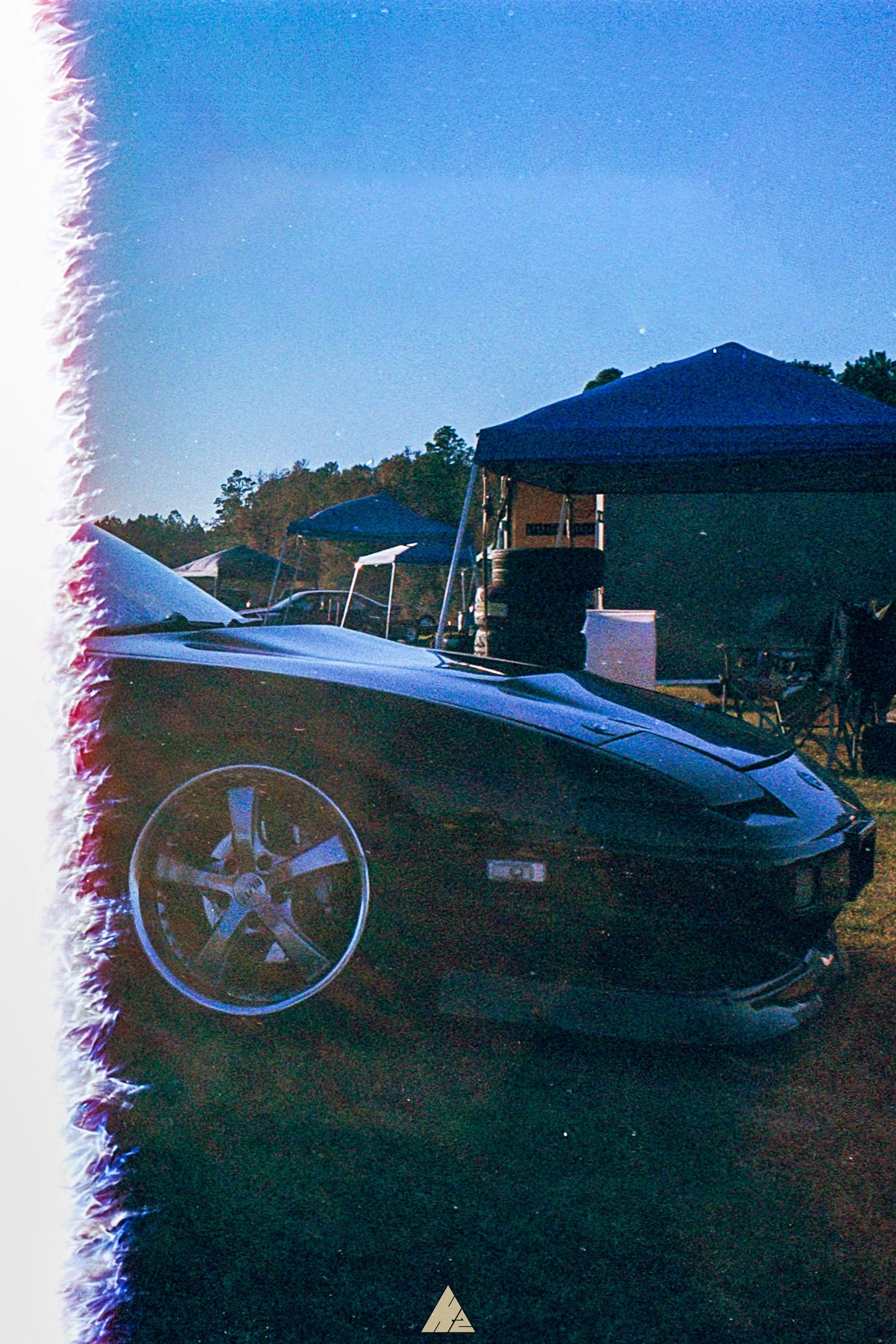 GoldMax400 (1).jpg