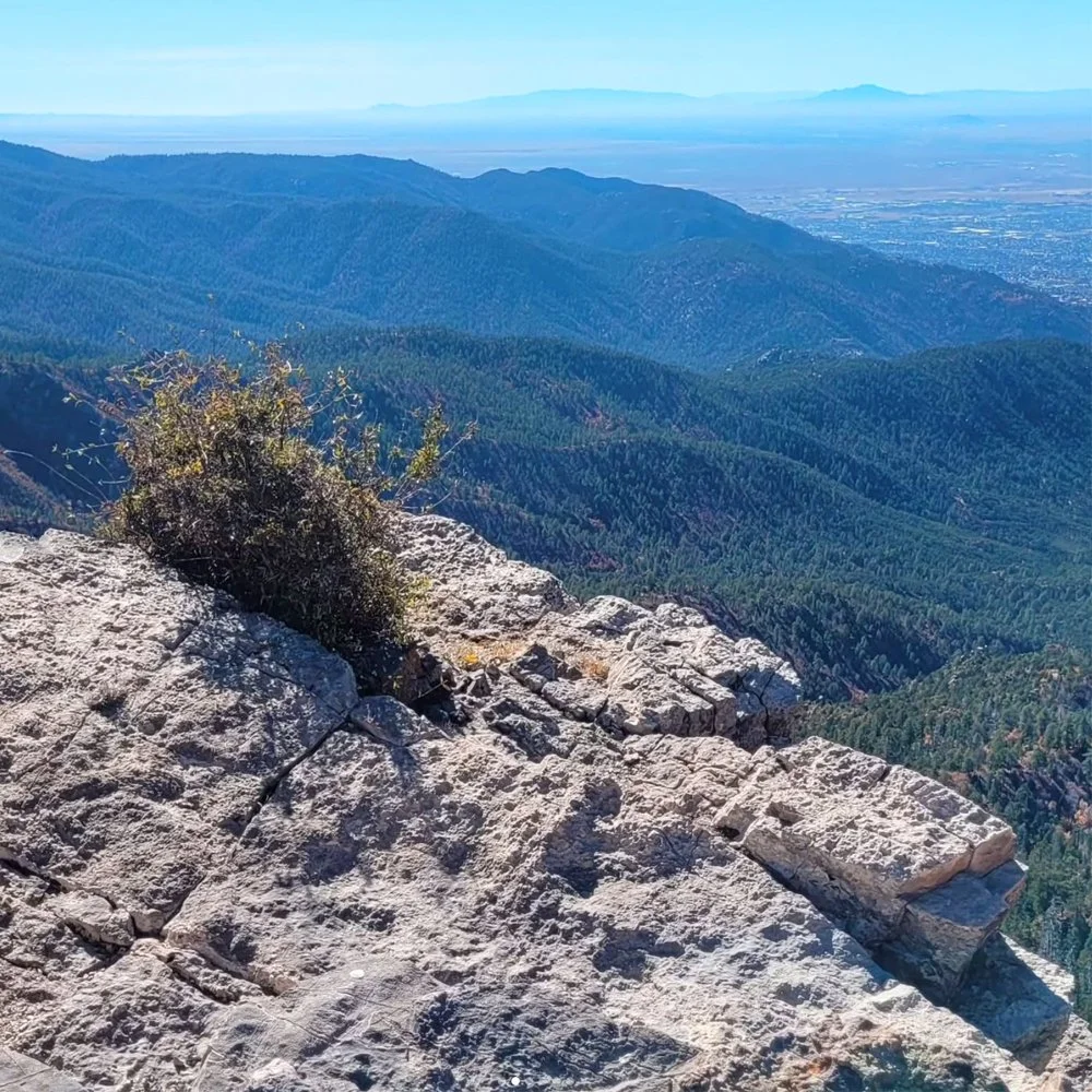 Sandia1.jpg
