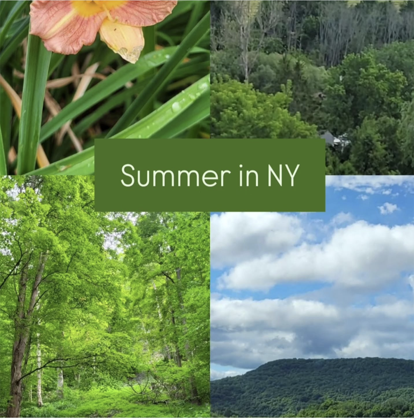 SummerNY.png