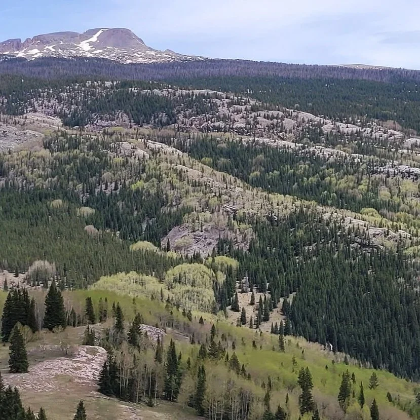 Look Right, Look Left